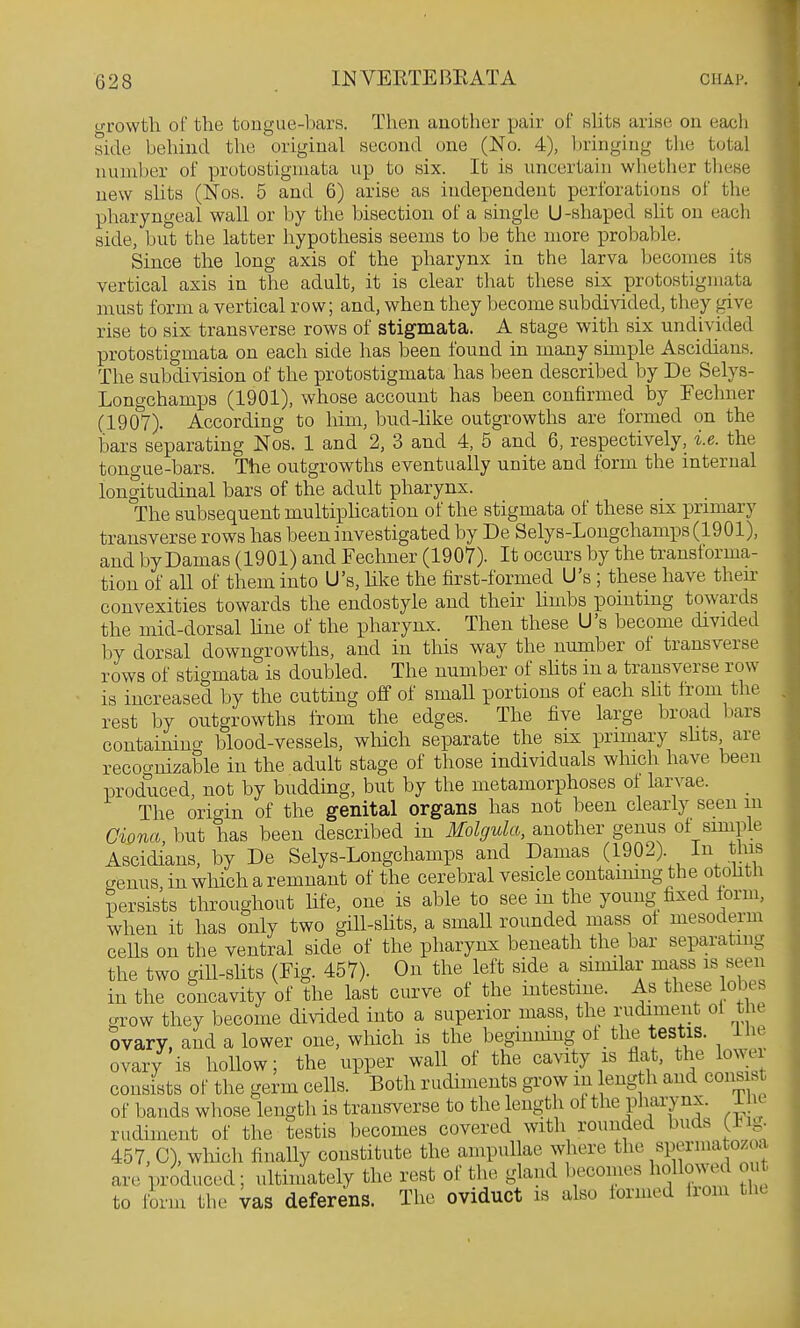 u-rowth of the tongue-bars. Then another pak of slits arise on each side behind the original second one (No. 4), bringing the total number of protostigmata up to six. It is uncertain whether tliese new slits (Nos. 5 and 6) arise as independent perforations of the pharyngeal wall or by the bisection of a single U-shaped slit on each side, but the latter hypothesis seems to be the more probable. Since the long axis of the pharynx in the larva becomes its vertical axis in the adult, it is clear tlmt these six protostigmata must form a vertical row; and, when they become subdivided, they give rise to six transverse rows of stigmata. A stage with six undivided protostigmata on each side has been found in many simple Ascidians. The subdivision of the protostigmata has been described by De Selys- Longchamps (1901), whose account has been confirmed by Fechner (1907). According to him, bud-like outgrowths are formed on the bars separating Nos. 1 and 2, 3 and 4, 5 and 6, respectively, i.e. the tongue-bars. The outgrowths eventually unite and form the internal longitudinal bars of the adult pharynx. The subsequent multiphcation of the stigmata of these six primary transverse rows has been investigated by De Selys-Longchamps(1901), and byDamas (1901) and Fechner (1907). It occurs by the transforma- tion of all of them into U's, hke the first-formed U's ; these have theii- convexities towards the endostyle and their hmbs pointing towards the mid-dorsal hue of the pharynx. Then these U's become divided by dorsal downgrowths, and in this way the number of transverse rows of stigmata is doubled. The number of shts in a transverse row is increased by the cutting off of small portions of each sht from the rest by outgrowths from the edges. The five large broad bars containino- blood-vessels, wliich separate the six primary shts are reco^ruizable in the adult stage of those individuals which have been produced, not by budding, but by the metamorphoses of larvae. _ The origin of the genital organs has not been clearly seen in Gwna, but has been described in Molgula, another genus of simple Ascidians, by De Selys-Longchamps and Damas (190-^)-^-^^^ .^l^^f genus in which a remnant of the cerebral vesicle containing the otohth persists throughout life, one is able to see in the young fixed form, when it has only two gill-slits, a small rounded mass of mesoderm ceUs on the ventral side of the pharynx beneath the bar separating the two gill-slits (Fig. 457). On the left side a similar mass is seen in the concavity of the last curve of the intestine. As these lobes grow they become divided into a superior mass, the rudiment ol the Svary, and a lower one, which is the beginning of the testis. Ihe ovary is hollow; the upper wall of the cavity is flat, the lowei consists of the germ cells. Both rudiments grow m ength and cons st of bands whose length is transverse to the length of the pharynx. I k rudiment of the testis becomes covered with rounded buds (i^ig. 457, C), wliich finally constitute the ampullae where the ;Wiatozoa are produced; ultiinately the rest of the gland becomes hollowed out to form the vas deferens. The oviduct is also formed Irom the