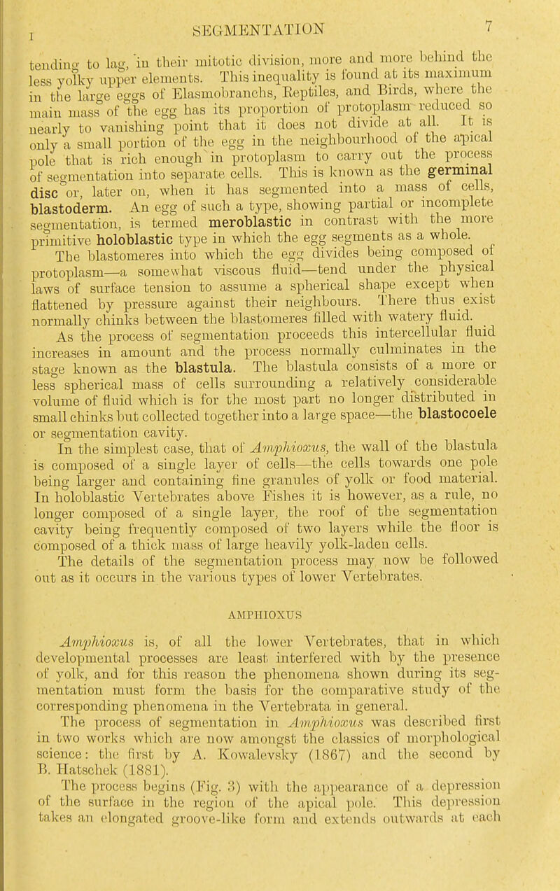 tendino- to in their mitotic division, more and more behind the less yoTky iipper elements. This inequality is found at its maximum in the large eggs of Elasmohranchs, Eeptiles, and Birds, where the main mass of the egg has its proportion of protoplasm reduced so nearly to vanishing point that it does not divide at all. It is only a small portion of the egg in the neighbourhood of the apical pole that is rich enough in protoplasm to carry out the process of seo-mentation into separate cells. This is known as the germinal disc^'or, later on, when it has segmented into a mass of cells, blastoderm. An egg of such a type, showing partial or incomplete seo-mentation, is termed meroblastic in contrast with the more pnmitive holoblastic type in which the egg segments as a whole. The blastomeres into which the egg divides being composed ot j)rotoplasm—a somewhat viscous fluid—tend under the physical laws of surface tension to assume a spherical shape except when flattened by pressure against their neighbours. There thus exist normally chinks between the blastomeres filled with watery fluid. As the process of segmentation proceeds this intercellular fluid increases in amount and the process normally culminates in the stage known as the blastula. The blastula consists of a more or less spherical mass of cells surrounding a relatively considerable volume of fluid which is for the most part no longer distributed in small chinlcs but collected together into a large space—the blastocoele or segmentation cavity. In the simplest case, that of Amphioxus, the wall of the blastula is composed of a single layer of cells—the cells towards one pole being larger and containing fine granules of yolk or food material. In holoblastic Vertebrates above Fishes it is however, as a rule, no longer composed of a single layer, the roof of the segmentation cavity being frequently composed of two layers while the floor is composed of a thick mass of large heavily yolk-laden cells. The details of the segmentation process may now be followed out as it occurs in the various types of lower A^ertebrates. AMPHIOXUS Amphioxus is, of all the lower A^ertebrates, that in which developmental processes are least interfered with by the presence of yolk, and for this reason the phenomena shown during its seg- mentation must form the basis for the comparative study of the corresponding phenomena in the A^ertebrata in general. The process of segmentation in Am^jhioxus was described first in two works which are now amongst the classics of morphological science: the; first by A. Kowalevsky (1867) and the second by B. Hatschek (1881). The process begins (Fig. 3) with the appearance of a depression of the surface in the region of the apical pole. This depression takes an elongated groove-like form and extends outwards at eaeli