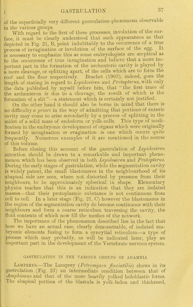 oi the superficially very different gastrulation-phenomena observable in the various groups. With regard to the first of these processes, involution of the sur- face, it must be clearly understood that such appearances as that depicted in Fig. 21, B, point indubitably to the occurrence of a true process of invagination or involution of the surface of the egg. It is necessary to emphasize this as some embryologists are sceptical as to the occurrence of true invagination and believe that a more im- portant part in the formation of the archenteric cavity is played by a mere cleavage, or spHtting apart, of the cells which are to form the rooi and the floor respectively. Brachet (1903), indeed, goes the length of stating in regard to Lepidosiren and Protopterus, with only ; the data pubhshed by myself before him, that  the first trace of the archenteron is due to a cleavage, the result of which is the I formation of a slit—a statement which is certainly not justified. On the other hand it should also be borne in mind that there is no difficulty a priori in the way of admitting that portions of enteric j cavity may come to arise secondarily by a process of splitting in the midst of a solid mass of endoderm or yolk-cells. This type of modi- fication in the embryonic development of organs which were originally \ formed by invagination or evagination is one which occurs quite ' freq;iently. Numerous examples of it are mentioned in the course of this volume. Before closing this account of the gastrulation of Lepidosiren I attention should be drawn to a remarkable and important pheno- menon which has been observed in both Lepidosiren and Protopterus. \ During the early stages of gastrulation, while the segmentation cavity j is widely patent, the small blastomeres in the neighbourhood of its ■ abapical side are seen, where not, distorted by pressure from their neighbours, to be approximately spherical in shape. Elementary J physics teaches that this is an indication that they are isolated I masses—that their protoplasmic substance is not continuous from cell to cell. In a later stage (Fig. 21, C) however the blastomeres in the region of the segmentation cavity do become continuous with their neighbours and form a coarse reticulum traversing the cavity, the ' fluid contents of which now fill the meshes of the network. The importance of the phenomenon described lies in the fact that : here we have an actual case, clearly demonstrable, of isolated em- I bryonic elements fusing to form a syncytial reticulum—a type of j process which may probably, as will be indicated later, play an 1 important part in the development of the Vertebrate nervous system. GASTRULATION IN THE VARIOUS GROUPS OF ANAMNIA Lampreys.—The Lamprey {Petromyzon jlaviatilis) shows in its gastrulation (Fig. 23) an intermediate condition between that of •Amplhioxus and that of the more heavily yolked holoblastic forms. The abapical portion of the blastula is yolk-laden and thickened.