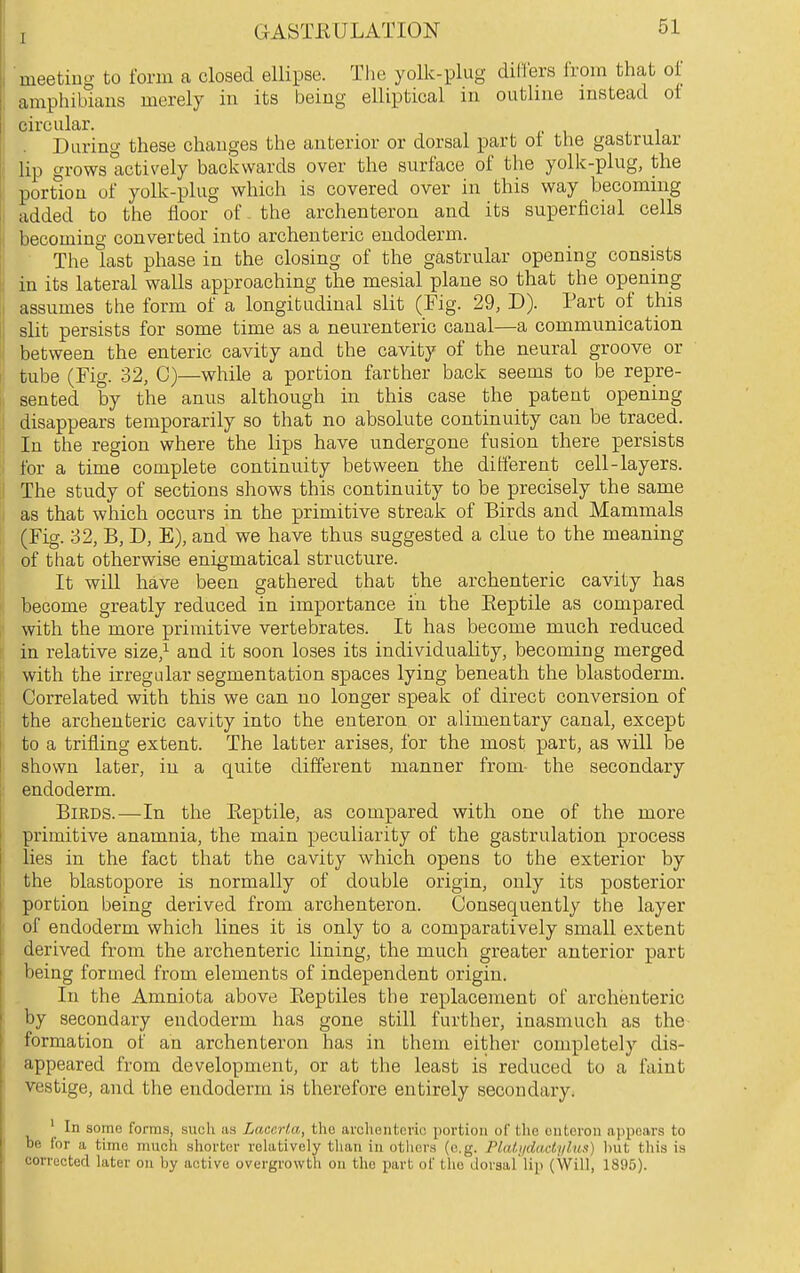 meetiug to form a closed ellipse. Tlie yolk-plug dilTers from that of amphiluaus merely in its being elliptical in outline instead of circular. . During these changes the anterior or dorsal part ot the gastruiar lip grows actively backwards over the surface of the yolk-plug, the portion of yolk-plug which is covered over in this way becoming added to the floor of - the archenteron and its superficial cells becoming converted into archenteric endoderm. The last phase in the closing of the gastruiar opening consists in its lateral walls approaching the mesial plane so that the opening assumes the form of a longitudinal slit (Fig. 29, D). Part of this slit persists for some time as a neurenteric canal—a communication between the enteric cavity and the cavity of the neural groove or tube (Fig. 32, C)—while a portion farther back seems to be repre- sented by the anus although in this case the patent opening disappears temporarily so that no absolute continuity can be traced. In the region where the lips have undergone fusion there persists for a time complete continuity between the different cell-layers. The study of sections shows this continuity to be precisely the same as that which occurs in the primitive streak of Birds and Mammals (Fig. 32, B, D, E), and we have thus suggested a clue to the meaning of that otherwise enigmatical structure. It will have been gathered that the archenteric cavity has become greatly reduced in importance in the Eeptile as compared with the more primitive vertebrates. It has become much reduced in relative size,^ and it soon loses its individuality, becoming merged with the irregular segmentation spaces lying beneath the blastoderm. Correlated with this we can no longer speak of direct conversion of the archenteric cavity into the euteron or alimentary canal, except to a trifling extent. The latter arises, for the most part, as will be shown later, in a quite different manner from- the secondary endoderm. Birds.—In the Eeptile, as compared with one of the more primitive anamnia, the main peculiarity of the gastrulation process lies in the fact that the cavity which opens to the exterior by the blastopore is normally of double origin, only its posterior portion being derived from archenteron. Consequently the layer of endoderm which lines it is only to a comparatively small extent derived from the archenteric lining, the much greater anterior part being formed from elements of independent origin. In the Amniota above Keptiles the replacement of archenteric by secondary endoderm has gone still further, inasmuch as the formation of an archenteron has in them either completely dis- appeared from development, or at the least is reduced to a faint vestige, and the endoderm is therefore entirely secondary. ' In some forms, such as Laccrta, the archenteric [)ortion of the euteron aj>pears to be for a time much shorter relatively than in otliera (e.g. Platiiddctylus) hut this is corrected later on hy active overgrowth on the part of the dorsal'lip (Will, 1895).