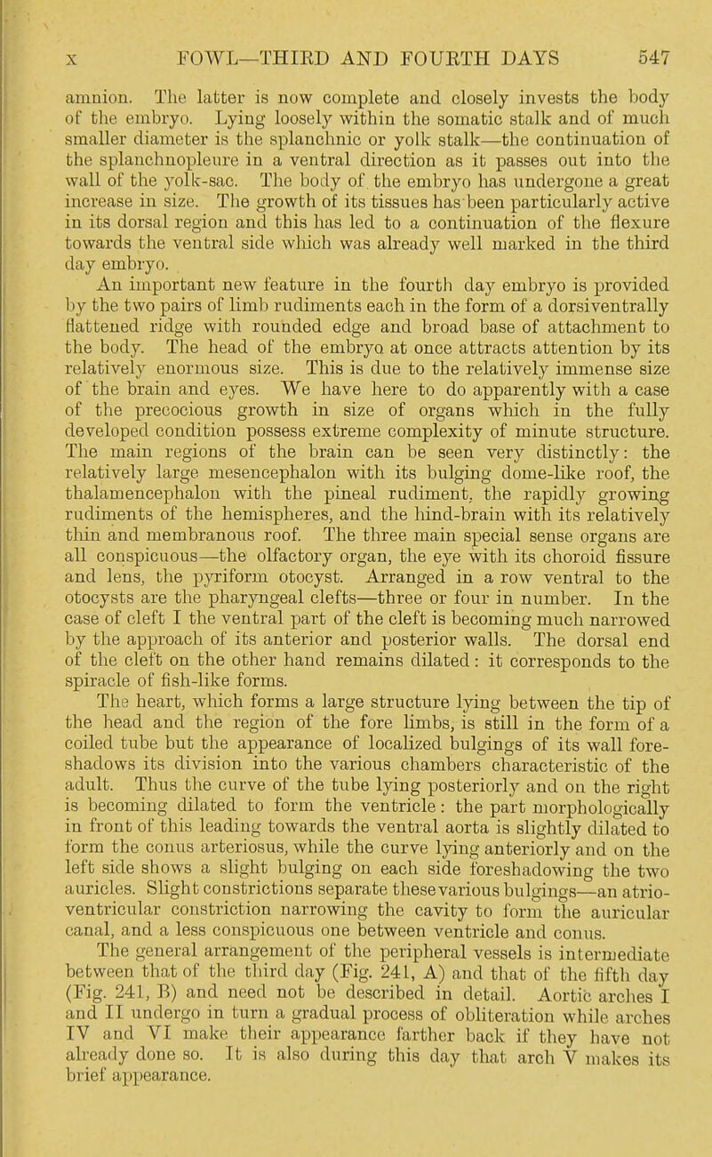 amnion. The latter is now complete and closely invests the body of the embryo. Lying loosely within the somatic stalk and of much smaller diameter is the splanchnic or yolk stalk—the continuation of the splauchnopleure in a ventral direction as it passes out into the wall of the yolk-sac. Tlie body of the embryo has undergone a great increase in size. The growth of its tissues has'been particularly active in its dorsal region and this has led to a continuation of the flexure towards the ventral side which was already well marked in the third day embryo. An important new feature in the fourth day embryo is provided by the two pairs of limb rudiments each in the form of a dorsiventrally flattened ridge with rounded edge and broad base of attachment to the body. The head of the embryo at once attracts attention by its relatively enormous size. This is due to the relatively immense size of the brain and eyes. We have here to do apparently with a case of the precocious growth in size of organs which in the fully developed condition possess extreme complexity of minute structure. The main regions of the brain can be seen very distinctly: the relatively large mesencephalon with its bulging dome-lilie roof, the thalamencephalou with the pineal rudiment, the rapidly growing rudiments of the hemispheres, and the hind-brain with its relatively tliin and membranous roof The three main special sense organs are all conspicuous—the olfactory organ, the eye with its choroid fissure and lens, the pyxiform otocyst. Arranged in a row ventral to the otocysts are the pharyngeal clefts—three or four in number. In the case of cleft I the ventral part of the cleft is becoming much narrowed by the approach of its anterior and posterior walls. The dorsal end of the cleft on the other hand remains dilated: it corresponds to the spiracle of fish-like forms. The heart, which forms a large structure lying between the tip of the head and the region of the fore limbs, is still in the form of a coiled tube but the appearance of localized bulgings of its wall fore- shadows its division into the various chambers characteristic of the adult. Thus the curve of the tube lying posteriorly and on the right is becoming dilated to form the ventricle: the part morphologically in front of this leading towards the ventral aorta is slightly dilated to form the conus arteriosus, while the curve lying anteriorly and on the left side shows a slight bulging on each side foreshadowing the two auricles. Slight constrictions separate these various bulgings—an atrio- ventricular constriction narrowing the cavity to form the auricular canal, and a less conspicuous one between ventricle and conus. The general arrangement of the peripheral vessels is intermediate between that of the third day (Fig. 241, A) and that of the fifth day (Fig. 241, B) and need not be described in detail. Aortic arches I and II undergo in turn a gradual process of obliteration while arches IV and VI make their appearance farther back if they have not already done so. It is also during this day that arch V makes its brief appearance.