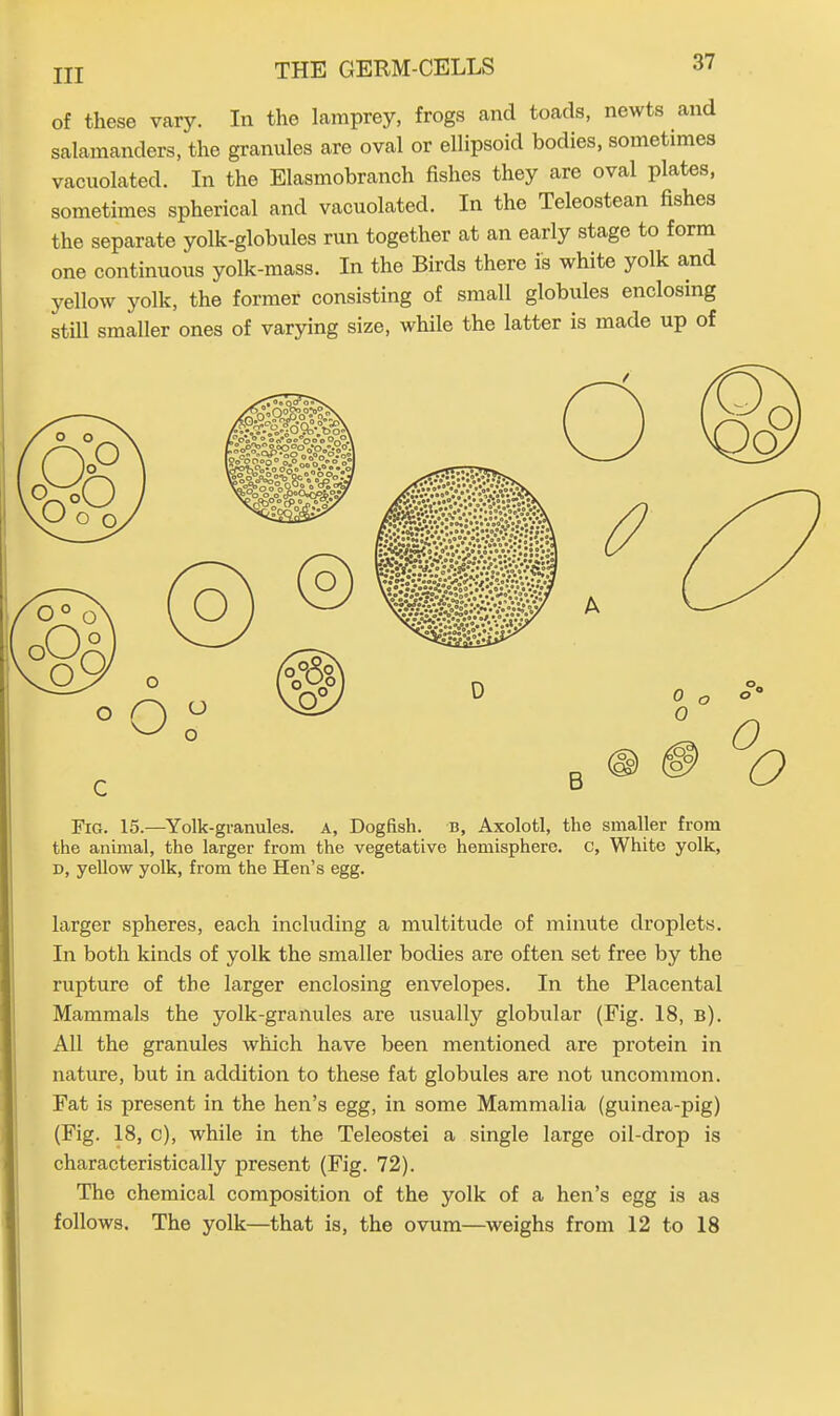 of these vary. In the lamprey, frogs and toads, newts and salamanders, the granules are oval or ellipsoid bodies, sometimes vacuolated. In the Elasmobranch fishes they are oval plates, sometimes spherical and vacuolated. In the Teleostean fishes the separate yolk-globules run together at an early stage to form one continuous yolk-mass. In the Birds there is white yolk and yellow yolk, the former consisting of small globules enclosing still smaller ones of varying size, while the latter is made up of Fig. 15.—Yolk-granules. A, Dogfish, b, Axolotl, the smaller from the animal, the larger from the vegetative hemisphere, c. White yolk, D, yellow yolk, from the Hen’s egg. larger spheres, each including a multitude of minute droplets. In both kinds of yolk the smaller bodies are often set free by the rupture of the larger enclosing envelopes. In the Placental Mammals the yolk-granules are usually globular (Fig. 18, b). All the granules which have been mentioned are protein in nature, but in addition to these fat globules are not uncommon. Fat is present in the hen’s egg, in some Mammalia (guinea-pig) (Fig. 18, c), while in the Teleostei a single large oil-drop is characteristically present (Fig. 72). The chemical composition of the yolk of a hen’s egg is as follows. The yolk—that is, the ovum—weighs from 12 to 18