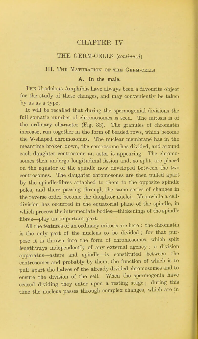 THE GERM-CELLS (continued) III. The Maturation oe the Germ-cells A. In the male. The Urodelous Amphibia have always been, a favourite object for the study of these changes, and may conveniently be taken by us as a type. It will be recalled that during the spermogonial divisions the full somatic number of chromosomes is seen. The mitosis is of the ordinary character (Fig. 32). The granules of chromatin increase, run together in the form of beaded rows, which become the V-shaped chromosomes. The nuclear membranes has in the meantime broken down, the centrosome has divided, and around each daughter centrosome an aster is appearing. The chromo- somes then undergo longitudinal fission and, so split, are placed on the equator of the spindle now developed between the two centrosomes. The daughter chromosones are then pulled apart by the spindle-fibres attached to them to the opposite spindle poles, and there passing through the same series of changes in the reverse order become the daughter nuclei. Meanwhile a cell- division has occurred in the equatorial plane of the spindle, in which process the intermediate bodies—thickenings of the spindle fibres—play an important part. All the features of an ordinary mitosis are here : the chromatin is the only part of the nucleus to be divided ; for that pur- pose it is thrown into the form of chromosomes, which split lengthways independently of any external agency; a division apparatus—asters and spindle—is constituted between the centrosomes and probably by them, the function of which is to pull apart the halves of the already divided chromosomes and to ensure the division of the cell. When the spermogonia have ceased dividing they enter upon a resting stage; during this time the nucleus passes through complex changes, which are in