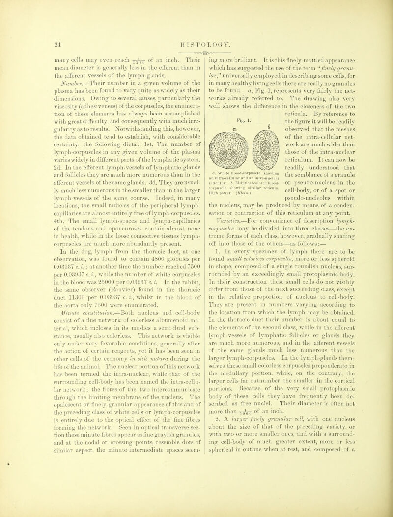 XX>^<>Cx> many cells may even reach p^Vo inch. Their mean diameter is generally less m the efferent than in the afferent vessels of the lymph-glands. Number.—Their number in a given volume of the plasma has been found to vary quite as widely as their dimensions. Owing to several causes, particularly the viscosity (adhesiveness) of the corpuscles, the enumera- tion of these elements has always been accomplished with great difficulty, and consequently with much irre- gularity as to results. Notwithstanding this, however, the data obtained tend to establish, with considerable certainty, the following dicta: 1st. The number of lymph-corpuscles in any given volume of the plasma varies widely in different parts of the lymphatic system. 2d. In the efferent lymph-vessels of lymphatic glands and follicles they are much more numerous than in the afferent vessels of the same glands. 3d. They are usual- ly much less numerous in the smaller than in the larger lymph-vessels of the same course. Indeed, in many locations, the small radicles of the peripheral lymph- capillaries are almost entirely free of lymph-corpuscles. 4th. The small lymph-spaces and lymph-capillaries of the tendons and aponeuroses contain almost none in health, while in the loose connective tissues lymph- corpuscles are much more abundantly present. In the dog, lymph from the thoracic duct, at one observation, was found to contain 4800 globules per 0.08937 c. i.; at another time the number reached 7500 per 0.03937 c. i., while the number of white corpuscles in the blood was 25000 per 0.03937 c. i. In the rabbit, the same observer (Eanvier) found in the thoracic duct 11300 per 0.03937 c. f., whilst in the blood of the aorta only 7500 were enumerated. Minute constitution.—Both nucleus and cell-body consist of a fine network of colorless albumenoid ma- terial, which incloses in its meshes a semi-fluid sub- stance, usually also colorless. This network is visible only under very favorable conditions, generally after the action of certain reagents, yet it has been seen in other cells of the economy in sitH natura during the life of the animal. The nuclear portion of this network has been termed the intra-nuclear, while that of the surrounding cell-body has been named the intra-cellu- lar network; the fibres of the two intercommunicate through the limiting membrane of the nucleus. The opalescent or finely-granular appearance of this and of the preceding class of white cells or lymph-corpuscles is entirely due to the optical effect of the fine fibres forming the network. Seen in optical transverse sec- tion these minute fibres appear as fine grayish granules, and at the nodal or crossing pomts, resemble dots of similar aspect, the minute intermediate spaces seem- as. White blood-corpuscle, showing an intra^cellular and an intra-nuclcar reticulum, b. Elliptical colored blood- corpuscle, showing similar reticula. High power. (Klein.) ing more brilliant. It is this finely-mottled appearance which has suggested the use of the term '■'■finely granu- lar universally employed in describing some cells, for in many healthy living cells there are really no granules' to be found, a. Fig. 1, represents very fairly the net- works already referred to. The drawing also very well shows the difference in the closeness of the two reticula. By reference to the figure it will be readily observed that the meshes of the intra-cellular net- work are much wider than those of the intra-nuclear reticulum. It can now be readily understood that the semblance of a granule or pseudo-nucleus in the cell-body, or of a spot or pseudo-nucleolus within the nucleus, may be produced by means of a conden- sation or contraction of this reticulum at any point. Varieties.—For convenience of description lymph- corpuscles may be divided into three classes—the ex- treme forms of each class, however, gradually shading off into those of the others—as follows:— 1. In every specimen of lymph there are to be found small colorless corpuscles^ more or less spheroid in shape, composed of a single roundish nucleus, sur- rounded by an exceedingly small protoplasmic body. In their construction these small cells do not visibly differ from those of the next succeeding class, exce])t in the relative proportion of nucleus to cell-body. They are present in numbers varying according to the location from which the lymph may be obtained. In the thoracic duct their number is about equal to the elements of the second class, while in the efferent lymph-vessels of lymphatic follicles or glands thev are much more numerous, and in the afferent vessels of the same glands much less numerous than the larger lymph-corpuscles. In the lymph-glands them- selves these small colorless corpuscles preponderate in the medullary portion, while, on the contrary, the larger cells far outnumber the smaller in the cortical portions. Because of the very small protoplasmic body of these cells they have frequently been de- scribed as free nuclei. Their diameter is often not more than -j-oVo inch. 2. A larger finely granular cell, with one nucleus about the size of that of the preceding variety, or with two or more smaller ones, and with a surround- ing cell-body of much greater extent, more or less spherical in outline when at rest, and composed of a