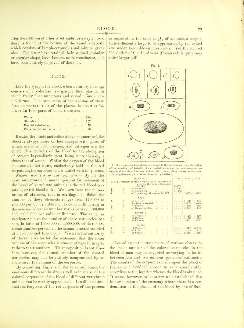 after the addition of ether is set aside for a day or two, there is found at the bottom of the vessel a deposit which consists of lympii-corpuscles and minute gran- ules. The latter have retained their original globular or angular shape, have become more translucent, and have been entirely deprived of their fat. BLOOD. Like the lymph, the blood, when naturally flowing, consists of a colorless transparent fluid plasma, in which freely float numerous and varied minute ani- mal forms. The proportion of the volume of these form-elements to that of the plasma is about as fol- lows: In 1000 parts of blood there are— Water Globules . Proteid substances Fatty matter and salts 790. 127. 73. 10. Besides the fluids and solids above enumerated, the blood is always more or less charged with gases, of which carbonic acid, oxygen, and nitrogen are the chief. The capacity of the blood for the absorption of oxygen is peculiarly great, being more than eight times that of water. Whilst the oxygen of the blood is almost, if not quite, exclusively held in the red corpuscles, the carbonic acid is united with the plasma. Number and size of red corpuscles. — By far the most numerous and most important form-element of the blood of vertebrate animals is the red blood-cor- puscle, or red blood-disk. We learn from the enume- ration of Malassez, that in cartilaginous fishes the number of these elements ranges from 140,000 to 230,000 per .03937 cubic inch (a cubic millimetre); in the osseous fishes the number varies between 700,000 and 2,000,000 per cubic millimetre. The same in- vestigator places the number of these corpuscles per c. m. in birds at 1,600,000 to 4,000,000, while the ex- treme numbers per c. m. in the mammiferae are recorded at 3,500,000 and 18,000,000. We have the authority of the same writer for the statement that the mean volume of the corpuscles is almost always in inverse ratio to their numbers. This proposition is not abso- lute, however, for a small number of the colored corpuscles may not be entirely compensated by an increase in the volume of the corpuscle. By consulting Fig. 7 and the table subjoined, the enormous difference in size, as well as in shape, of the colored corpuscles of the blood of different vertebrate animals can be readily appreciated. It will be noticed that the long axis of the red corpuscle of the proteus is recorded in the table as j^-g- of an inch, a magni- tude sufficiently large to be appreciated by the naked eye under favorable circumstances. Yet the colored blood-disk of the Amphiuma (Congo eel) is quite one- third larger still. Fig. 7. All the corpuscles here shown are ilrawn to the uniform scale, at the bottom of the wood-cut, of 1—1000th of an English inch, and the measurements are expressed in vulgar fractions of that inch. t. n. signifies transverse diameter; L. D. long diameter; s. d. short diameter. {Gulliver.) Mammalia. T. D. I.. D. S. D. 1. Red Corpuscle of Man, seen on the flat surface and also on the edge; thickness 1-12400 .... 1-3200 2.  of Elephant .... 1-2740 3.  of Musk Deer .... 1-1232.5 4.  of Dromedary, thickness 1-15337 1-32.54 1-5921 AVES. 5.  of Ostrich .... 1-1649 1-3000  Nucleus of Ostrich . 1-3200 1-9166 6.  of Pigeon .... 1-2314 1-3429 7.  of Humming Bird 1-2666 1-4000 Reptilia. 8.  of Crocodile .... 1-1231 1-2286 9.  of Python .... 1-1440 1-2400 10.  of Proteus .... 1-400 1-727 Pisces. 11.  of Perch 1-2461 .$-3000 12. of Pike 1-2000 1-3.5.53 13.  of Shark 2-1143 1-16S4 According to the statements of various observers, the mean number of the colored corpuscles in the blood of man may be regarded as varying in health between four and five millions per cubic millimetre. The counts of the corpuscles made upon the blood of the same individual appear to vary considerably, according to the location whence the blood is obtained. It seems, however, to be pretty well established that in any portion of the economy where there is a con- densation of the plasma of the blood by loss of fluid.