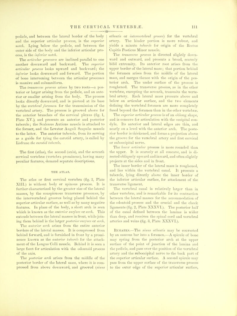 — ^xOO^O-O-O pedicle, and between tlie lateral border of the body and the superior articular process, is the svq^erior notch. Lying below the pedicle, and between the outer side of the body and the inferior articular pro- cess, is the inferior notch. The articular processes are inclined parallel to one another downward and backward. The superior articular process looks upward and backward; the inferior looks downward and forward. The portion of bone intervening betweea the articular processes is massive and columniform. The transverse pjvocess arises by two roots—a pos- terior or larger arising from the pedicle, and an ante- rior or smaller arising from the body. The process looks directly downward, and is pierced at its base by the vertebral foramen for the transmission of the vertebral artery. The process is grooved above for the anterior branches of the cervical plexus (fig. 1, Plate XV.), and presents an anterior and posterior tubercle; the Scalenus Anticus muscle is attached to the former, and the Levator Anguli Scapulae muscle to the latter. The anterior tubercle, from its serving as a guide for tying the carotid artery, is called by Lisfranc the carotid tubercle. , The first (atlas), the second (axis), and the seventh cervical vertebrte (vertebra prominens), having many peculiar features, demand separate descriptions. THE ATLAS. The atlas or first cervical vertebra (fig. 2, Plate XIII.) is without body or spinous process. It is further characterized by the greater size of the lateral masses, by the conspicuous transverse processes, by the intervertebral grooves being placed behind the superior articular surface, as well as by many negative features. In place of the body, a short arch is seen which is known as the anterior surface or arch. This extends between the lateral masses in front, while join- ing them behind is \\\e]'3irgev posterior surf ace or arch. The anterior arch arises from the entire anterior borders of the lateral masses. It is compressed from behind forward, and is furnished in front by a promi- nence kuown as the anterior tubercle for the attach- ment of the Longns Colli muscle. Behind it is seen a large facet for articulation with the odontoid process of the axis. The p)Osterior arch arises from the middle of the posterior border of the lateral mass, where it is com- pressed from above downward, and grooved (sinus atlantis or intervertebral groove) for the vertebral artery. The hinder portion is more robust, and yields a minute tubercle for origin of the Rectus Capitis Posticus Minor muscle. The transverse process is directed slightly down- ward and outward, and presents a broad, scarcely bifid extremity. Its anterior root arises from the upper border of the lateral mass ; that portion behind the foramen arises from the middle of the lateral mass, and merges thence with the origin of the pos- terior arch. The itnder surface of the process is roughened. The transverse process, as in the other vertebrae, excepting the seventh, transniits the verte- bral artery. Each lateral mass presents above and below an articular surface, and the two elements defining the vertebral foramen are more completely fused beyond the foramen than in the other vertebra;. The superior articular process is of an oblong shape, and is concave for articulation with the occipital con- dyle. Its anterior and lateral edges are thin, and nearly on a level with the anterior arch. The poste- rior border is thickened, and forms a projection above the groove for the vertebral artery and first cervical or suboccipital nerve. The loiuer articular process is more rounded than the upper. It is scarcely at all concave, and is di- rected obliquely upward and inward, and often slightly projects at the sides and in front. The inner border of the lateral mass is roughened, and lies within the vertebral canal. It presents a tubercle, lying directly above the inner border of the inferior articular surface, for attachment of the transverse ligament. The vertebral canal is relatively larger than in other vertebras, and is remarkable for its contraction between the lateral masses for the accommodation of the odontoid process and the crucial and the check ligaments (fig. 2, Plate XXXVI.). Tlie posterior half of the canal defined between the laminas is wider than deep, and receives the spinal cord and vertebral arteries and veins (fig. 3, Plate XXXVL). Rp:marks.—The simis atlantis may be converted by an osseous bar into a foramen.—A spicule of bone may spring from the posterior arch at the upper surface of the point of junction of the lamina and the pedicle, and pass over the position of the vertebral artery and the suboccipital nerve to the back part of the superior articular surface. A second spicule may pass from the upper surface of the transverse process to the outer edge of the superior articular surface.