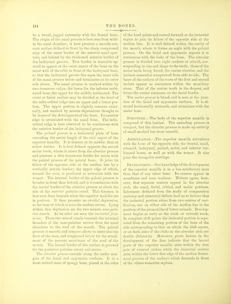 by a broad, jagged extremity witTi tbe frontal bone. The origin of the nasal process is best seen from with- in the nasal chamber; it here presents a smooth con- cave surface defined in front by the sharp compressed edge of the outer border of the anterior nasal aper- ture, and behind by the thickened anterior border of the lachrymal groove. This border is traceable up- ward to appear at the outer aspect of the bone on the inner wall of the orbit in front of the lachrymal bone, so that the lachrymal groove lies upon the inner side of the nasal process below and terminates at its outer side above. The nasal process is marked within by two transverse ridges^ the lower for the inferior turbi- nated bone, the upper for the middle turbinated. The outer or facial surface may be divided at the level of the infra-orbital ridge into an upper and a lower por- tion. The upper portion is slightly concave exter- nally, and marked by minute depressions thought to be traces of the development of the bone. Its anterior edge is articulated with the nasal bone. The infra- orbital ridge is here observed to be continuous with the anterior border of the lachrymal groove. The ijcdatal process is a horizontal plate of bone extending the entire length of the oral aspect of the superior maxilla. It is thinner at its middle than at either border. It is best defined opposite the second molar tooth, where it arises from the alveolar process and presents a thin transverse border for union with the palatal process of the palatal bone. It joins its fellow of the opposite side at the median line by a vertically serrate border; the upper edge of which, termed the crest^ is produced to articulate with the vomer. The internal border of the palatal process is broader in front than behind, and it is continuous with the mesial border of the alveolar process at about the site of the anterior palatine canal. This foramen is best seen from beneath when the superior maxillse are in position. It then presents an ovoidal depression, at the base of which is seen the median suture. Lying within this depression are the two minute naso-pala- tine canals. At its sides are seen the incisorial fora- mina. These two sets of canals transmit the terminal branches of the naso-palatine nerves from the nasal chambers to the roof of the mouth. The palatal process is smooth and concave above to enter into the floor of the nose, and roughened below for the attach- ment of the mucous membrane of the roof of the mouth. The lateral border of this surface is grooved for the posterior palatine artery and nerve. The alveolar process extends along the under mar- gins of the facial and zygomatic surfaces. It is a stout curved mass of spongy bone, placed at the sides of the hard palate and curved forward at the incisorial region to join its fellow of the opposite side at the median line. It is well defined within the cavity of the moutli, where it forms an angle with the palatal process. On the facial and zygomatic aspects it is continuous with the body of the bone. The alveolar process is divided into eight sockets or alveoli, cor- responding in size and shape to the teeth; those of the molar teeth being broad, the canine circular, and the incisors somewhat compressed from side to side. The bases of the sockets of the roots of the first and second molars appear as eminences within the maxillary sinus. That of the canine tooth is the deepest, and forms the canine eminence on the facial border. The malar process is broad, and is seen at the junc- tion of the facial and zj'gomatic surfaces. It is di- rected horizontally outwards, and articulates with the malar bone. Structure.—The body of the superior maxilla is composed of thin laminte. The ascending process is compact, but the alveolar process is made up entirely of small-meshed but stout cancelli. Articulation.—The superior maxilla articulates with the bone of the opposite side, the frontal, nasal, ethmoid, lachrymal, palatal, malar, and inferior tur- binated bones, as well as with the vomer. It also joins the triangular cartilage. Development.—Our knowledge of the development of the superior maxilla is in a less satisfactory state than that of any other bone. Its centres appear in membrane and soon coalesce. Writers agree, how- ever, that separate centres appear in the alveolar arch, the nasal, facial, orbital, and malar portions. Inferences deduced from the study of comparative anatomy and structural defects lead us to believe that the incisorial portion arises from two centres of ossi- fication, one on either side of the median line in the position of the premaxillte of lower animals. Develop- ment begins as early as the sixth or seventh week. In complete cleft palate the incisorial portion is sepa- rated from the remaining portion of the bone of the side corresponding to that on which the cleft occurs, or on both sides if the clefts in the alveolar arch are double (bilateral). Moreover, grave lesions in the development of the face indicate that the lateral parts of the superior maxilla arise within the first pair of visceral arches, while the incisorial centres arise within the lower free edge of the median fronto- nasal process of the embryo which descends in front of the ethmo-vomerine septum.