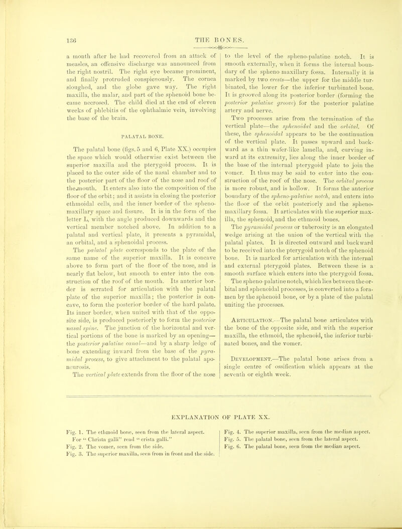 . OCO^OOC a rnontli after he Lad recoverecl from an attack of measles, an offensive discliarge was announced from the right nostril. The right eje became prominent, and finally protruded conspicuously. The cornea sloughed, and the globe gave way. The right maxilla, the malar, and part of the sphenoid bone be- came necrosed. The child died at the end of eleven weeks of phlebitis of the ophthalmic vein, involving the base of the brain. PALATAL BONE. The palatal bone (tigs. 5 and 6, Plate XX.) occupies the space which would otherwise exist between the superior maxilla and the pterygoid process. It is placed to the outer side of the nasal chamber and to the posterior part of the floor of the nose and roof of the.mouth. It enters also into the composition of the floor of the orbit; and it assists in closing the posterior ethmoidal cells, and the inner border of the spheno- maxillary space and tissure. It is in the form of the letter L, with the angle produced downwards and the vertical member notched above. In addition to a palatal and vertical plate, it presents a pyramidal, an orbital, and a sphenoidal process. The palatal plate corresponds to the plate of the same name of the superior maxilla. It is concave above to form part of the floor of the nose, and is nearly flat below, but smooth to enter into the con- struction of the roof of the mouth. Its anterior bor- der is serrated for articulation with the palatal plate of the superior maxilla; the posterior is con- cave, to form the posterior border of the hard palate. Its inner border, when united with that of the oppo- site side, is produced posteriorly to form the posterior nasal spme. The junction of the horizontal and ver- tical portions of the bone is marked by an opening— the posterior palatine cana l—and by a sharp ledge of bone extending inward from the base of the pyra- midal process, to give attachment to the palatal apo- neurosis. The vertical plate extends from the floor of the nose to the level of the spheno-palatine notch. It is smooth externally, when it forms the internal boun- dary of the spheno maxillary fossa. Internally it is marked by two crests—the upper for the middle tur- binated, the lower for the inferior turbinated bone. It is grooved along its posterior border (forming the pjosterior palatine groove) for the posterior palatine artery and nerve. Two processes arise from the termination of the vertical plate—the spihenoidal and the orbital. Of these, the sphenoidal appears to be the continuation of the vertical plate. It passes upward and back- ward as a thin wafer-like lamella, and, curving in- ward at its extremity, lies along the inner border of the base of the internal pterygoid plate to join the vomer. It thus may be said to enter into the con- struction of the roof of the nose. The orbital process is more robust, and is hollow. It forms the anterior boundary of the spheno-palatine notch, and enters into the floor of the orbit posteriorly and the spheno- maxillary fossa. It articulates with the superior max- illa, the sphenoid, and the ethmoid bones. l^he pyramidal process or tuberosity is an elongated wedge arising at the union of the vertical with the palatal plates. It is directed outward and backward to be received into the pterygoid notch of the sphenoid bone. It is marked for articulation with the internal and external pterygoid plates. Between these is a- smooth surface which enters into the pterygoid fossa. The spheno-palatine notch, which lies between the or- bital and sphenoidal processes, is converted into a fora- men by the sphenoid bone, or by a plate of the palatal uniting the processes. Articulation.—The palatal bone articulates with the bone of the opposite side, and with the superior maxilla, the ethmoid, the sphenoid, the inferior turbi- nated bones, and the vomer. Development.—The palatal bone arises from a single centre of ossification which appears at the seventh or eighth week. EXPLANATION OF PLATE XX. Fig. 1. The ethmoid bone, seen from the latei-al aspect. For  Christa galli read  crista galli. Fig. 2. The vomer, seen from the side. Fig. 3. The superior maxilla, seen from in front and the side. Fig. 4. The superior maxilla, seen from the median aspect. Fig. 5. The palatal bone, seen from the lateral aspect. Fig. 6. The palatal bone, seen from the median aspect.