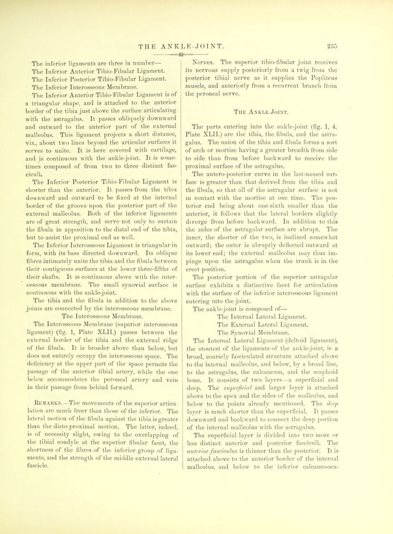 o-OO^OKX- The inferior ligaments are three in number— The Inferior Anterior Tibio-Fibular Ligament. The Inferior Posterior Tibio-Fibular Ligament. The Inferior Interosseous Membrane. The Inferior Anterior Tibio-Fibular Ligament is of a triangular shape, and is attached to the anterior border of the tibia just above the surface articulating with the astragalus. It passes obliquely downward and outward to the anterior part of the external malleolus. This ligament projects a short distance, viz., about two lines beyond the articular surfaces it serves to unite. It is here covered with cartilage, and is continuous with the ankle-joint. It is some- times composed of from two to three distinct fas- ciculi. The Inferior Posterior Tibio-Fibular Ligament is shorter than the anterior. It passes from the tibia downward and outward to be fixed at the internal border of the groove upon the posterior part of the external malleolus. Both of the inferior ligaments are of great strength, and serve not only to sustain the fibula in apposition to the distal end of the tibia, but to assist the proximal end as well. The Inferior Interosseous Ligament is triangular in form, with its base directed downward. Its oblique fibres intimately unite the tibia and the fibula between their contiguous surfaces at the lower three-fifths of their shafts. It is continuous above with the inter- osseous membrane. The small synovial surface is continuous with the ankle-joint. The tibia and the fibula in addition to the above joints are connected by the interosseous membrane. The Interosseous Membrane. The Interosseous Membrane (superior interosseous ligament) (fig. 1, Plate XLII.) passes between the external border of the tibia and the external ridge of the fibula. It is broader above than below, but does not entirely occupy the interosseous space. The deficiency at the upper part of the space permits the passage of the anterior tibial artery, while the one below accommodates the peroneal artery and vein in their passage from behind forward. Remarks.—The movements of the superior articu- lation are much freer than those of the inferior. The lateral motion of the fibula against the tibia is greater than the disto-proximal motion. The latter, indeed, is of necessity slight, owing to the overlapping of the tibial condyle at the superior fibular facet, the shortness of the fibres of the inferior group of liga- ments, and the strength of the middle external lateral fascicle. Nerves. The superior tibio-fibular joint receives its nervous supply posteriorly from a twig from the posterior tibial nerve as it supplies the Popliteus muscle, and anteriorly from a recurrent branch from the peroneal nerve. The Ankle-Joint. The parts entering into the ankle-joint (fig. 1, 4, Plate XLII.) are the tibia, the fibula, and the astra- galus. The union of the tibia and fibula forms a sort of arch or mortise having a greater breadth from side to side than from before backward to receive the proximal surface of the astragalus. The antero-posterior curve in the last-named sur- face is greater than that derived from the tibia and the fibula, so that all of the astragalar surface is not in contact with the mortise at one time. The pos- terior end being about one-sixth smaller than the anterior, it follows that the lateral borders slightly diverge from before backward. In addition to this the sides of the astragalar surface are abrupt. The inner, the shorter of the two, is inclined somewhat outward; the outer is abruptly deflected outward at its lower end; the external malleolus may thus im- pinge upon the astragalus when the trunk is in the erect position. The posterior portion of the superior astragalar surface exhibits a distinctive facet for articulation with the surface of the inferior interosseous ligament entering into the joint. The ankle-joint is composed of— The Internal Lateral Ligament. The External Lateral Ligament. The Synovial Membrane. The Internal Lateral Ligament (deltoid ligament), the stoutest of the ligaments of the ankle-joint, is a broad, coarsely fasciculated structure attached above to the internal malleolus, and below, by a broad line, to the astragalus, the calcaneum, and the scaphoid bone. It consists of two layers—a superficial and deep. The superficial and larger layer is attached above to the apex and the sides of the malleolus, and below to the points already mentioned. The ckej) layer is much shorter than the superficial. It passes downward and backward to connect the deep portion of the internal malleolus Avith the astragalus. The superficial layer is divided into two more or less distinct anterior and posterior fasciculi. The anterior fasciculus is thinner than the posterior. It is attached above to the anterior border of the internal malleolus, and below to the inferior calcaneo-sca-