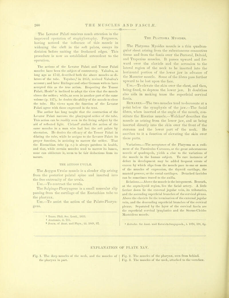 i>00^00<^ The Levator Palati receives mucli attention in the improved operation of staphjlorraphy. Fergusson. having noticed the influence of this muscle in widening the cleft in the soft palate, essays its division before uniting the freshened edges. This procedure is now an established antecedent to the operaticni. The actions of the Levator Palati and Tensor Palati muscles have been tlie subject of controversy. Valsalva, as long ago as 1742, described both the above muscles fis di- lators of the tube. Toynbee,' in 1853, revived Valsalva's account; and later RiiJinger and otlier German writers have accepted this as tlie true action. Respecting tlie Tensor Palati, Henle'' is inclined to adopt the view that the muscle closes the orifice; while, as seen in another part of the same volume (p. 117), he doubts the ability of the muscle to close the tube. His views U[)on the function of the Levator Palati agree with those expressed in the text. The author has long taught that the contraction of the Levator Palati narrows the pharyngeal orifice of the tube. Tliis action can be readily seen in the living subject by the aid of reflected light. Cleland' studied the action of the same muscles in a man who had lost the soft palate by ulceration. He doubts the efficacy of tlie Tensor Palati in dilating the tube, while he assigns to the Levator Palati its j)roper function, in assisting to narrow the orifice. That the Eustachian tube {q. v.) is always patulous in health, and that, while certain muscles tend to narrow its lumen, none can obliterate it, seem to be fair deductions from its nature. THE AZYGOS UVUL^. The Azygos UvuIeb muscle is a slender slip arising from the posterior palatal spine and inserted into the free extremity of the uvula. Use.—To contract the uvula. The Salpingo-Pharyngeus is a small muscular slip passing from the cartilage of the Eustachian tube to the pharynx. Use.—^To assist the action of the Palato-Pharyn- geus. 1 Trans. Phil. Soc. Lond., 1853. 2 Anatomie, ii. 755. 3 Joui-n. of Anat. aud Phys., ill. 1869, 97. The Platysma Myoides. The Platysma Myoides muscle is a thin quadran- gular sheet arising from the subcutaneous connective tissue and from the fascia over the Pectoral, Deltoid, and Trapezius muscles. It passes upward and for- ward over the clavicle and the acromion to the lateral region of the neck to be inserted into the horizontal portion of the lower jaw in advance of the Masseter muscle. Some of the fibres pass further upward to be lost upon the face. Use.—To elevate the skin over the chest, and tben, being fixed, to depress tbe lower jaw. It doubtless also aids in making tense the superficial cervical fascia. Eejiaeks.—The two muscles tend to decussate at a point below the symphysis of the jaw.—The facial fibres, when inserted at the angle of the mouth, con- stitute the Eisorius muscle.—Welcker^ describes the muscle as arising from the lower jaw, and as being inserted directly into the skin over the front of the sternum and the lower part of the neck. He ascribes to it a function of elevating the skin over these jjarts. Variations The acceptance of the Platysma as a rudi- ment of the Panniculus Carnosus, or the great subcutaneous muscle of quadi'upeds, yields a clue to the variations of the muscle in the liuman subject. To rare instances of defect in development may be added frequent errors of excess by which slips from the muscle pass to one or more of the muscles of expression, the thyroid cartilage, the mastoid process, or the costal cartilages. Detached fascicles can be sometimes traced to the axilla. Relations Above the muscle is the integument. Beneath, at the supra-hyoid region, lies the facial artery. A little farther down lie the external jugular vein, its tributaries, and the ascending superficial branches of the cervical plexus. Above the clavicle lie the termination of the external jugular vein, and the descending superficial branches of the cervical plexus. Separated by the layer of the cervical fascia are the superficial cervical lymphatics and the Sterno-Cleido- Mastoideus muscle. ■ Zeitschi'. fiir Anat. und Entwickeluiigsgescli., i. 1876, 198, fig. EXPLANATION OF PLATE XLV. Fig. 1. The deep muscles of the neck, and tlie muscles of the pharynx in part. Fig. 2. The muscles of the pharynx, seen from behind. 3. The muscles of the neck, attached to the vertebrae.