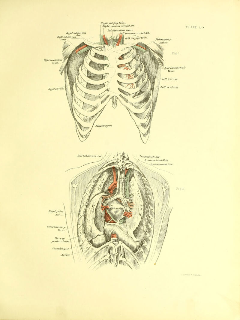 r. Sinclair &l Sijt.LiitL