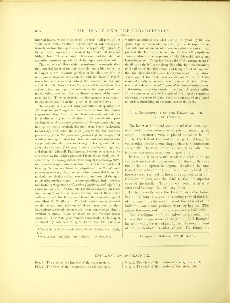 316 THE HEART AND internal layers, wbicli is observed to occur in all parts of the ventricular walls, whether they be viewed anteriorly, pos- teriorly, or from tlie septal side, lias been partially figured by Senac,^ and imperfectly described by Reid,^ but has not hitherto been fully elucidated. It has not had that share of attention bestowed upon it which its importance demands. The two sets of fibres which constitute the superficial or first external layer of the left ventricle, and which enter the left apex in two separate portions or bundles, are for the most part continuous in the interior with the Masculi Papil- lares, to the free ends of which the chordte tendinea3 are attached. The Ifuscitli PapiUares, as w-ill be seen fi-om this account, bear an important relation to the segments of the mitral valve, to which they are directly connected by tendi- nous bands. They merit from this circumstance a more pai- ticular description than that given of the other fibres. On looking at the left auricnlo-ventricular opening, the fibres of the first layer are seen to arise from the fibrous ring surrounding the aorta, and from the auriculo-ventricu- lar tendinous ring in two divisions: the one division pro- ceeding /Vom the anterior portions of the rings, and winding in a spiral, nearly vertical, direction, from before backward, to converge and enter the apex posteriorly; the other set proceeding from the posterior portions of the rinys, and winding in a spiral direction from behind forward, to con- verge and enter the apex anteriorly. Having entered the apex, the two sets of external fibres are collected togetiier, and form the Musculi Papillares and columns carnese; the one set, viz., that which proceeded from tlie auriculo-ventri- cular orifice anteriorly and entered the 'd[)exposteriorly, curv- ing round in a spiral direction from right to left upward, and forming the anterior Muscidus Papillaris and the columnce carnecB next to it; the other set, which proceeded from the auriculo-ventricular orifice posteriorly, and entered tlie apex anteriorly, curving round in a corresponding spiral direction, and forming the posterior Musculiis Papillaris and adjoining columnce carnece. As the external fibres converge on near- ing the apex, so the internal continuations of these fibres radiate toward the base; and hence the conical shape of the Musculi Papillares. Particular attention is directed to the course and position of these structures, as they have always, though erroneously, been regarded as simply vertical columns, instead of more or less vertical spiral columns. It is worthy of remark that, while the left apex is closed by two sets of spiral fibres, the left auriculo- ' Traite de la Structure du Coeur, de son Action, etc. Paris, 1749. 2 Cyc. of Anat. and Phys., art. Heart. London, 1839. HE BLOODVESSELS. ventricular orifice is occluded during the systole by the two spiral flaps or segments constituting the bicuspid valve. The bilateral arrangement, therefore, which obtains in all parts of the left ventricle and in the Musculi Papillares extends also to tlie segments of the bicuspid valve, and hence its name. What has been said of the arrangement of the fibres in the left ventricle applies with slight modifications to the fibres of the right one ; and many are of the opinion that the tricuspid valve is in reality bicuspid in its nature. The shape of the ventricular cavities of the heart of the mammal greatly influences the movements of the mitral and tricuspid valves, by monlding the blood into certain forms, and causing it to act in certain directions. A precise outline of the ventricular cavities is obtained by filling the ventricles with wax or plaster of Paris, these substances, when allowed to harden, furnishing an accurate cast of the parts. The Development of the Heart and the Great Vessels. The heart at the third week is tubuhir, bent upon itself, and the auricular or lower portion receiving the omphalo-mesenteric vein is placed above or behind and to the left of the ventricular part. Above the ventricular part is a cone-shaped chamber, continuous above with the vascular arches, which is called the truncus communis arteriosus or aortic bulb. In the sixth or seventh week the septum of the ventricle makes its appearance. In the eighth week the auricular septum is begun. At about the same time, three veins enter the auricle from behind. Of these, two correspond to the right superior cava and the inferior cava, and the third to the left superior cava of the adult. They are connected with what afterward becomes the coronary sinus. In the eleventh week the Eustachian valve forms, beginning from above, and advancing toward the base of the heart. In the seventh week the division of the bulb into aorta and pulmonary artery begins. This affects the inner and middle layers of the bulb only. The development of the valves is coincident in time with the appearance of the septa. A. C. Bernays' has elaborately described and figured the development, of the auriculo-ventricular valves. He found the 1 Morpliolog. Jalirbucher, 1876, Bd. ii. 478. EXPLANATION OF PLATE LX. Fig. ]. The view of the interior of the right auricle. Fig. 2. The view of the interior of tlie left venti'icle. Fio-. 3. The view of the interior of the right ventricle. Fig. 4. The view of the interior of the left auricle.