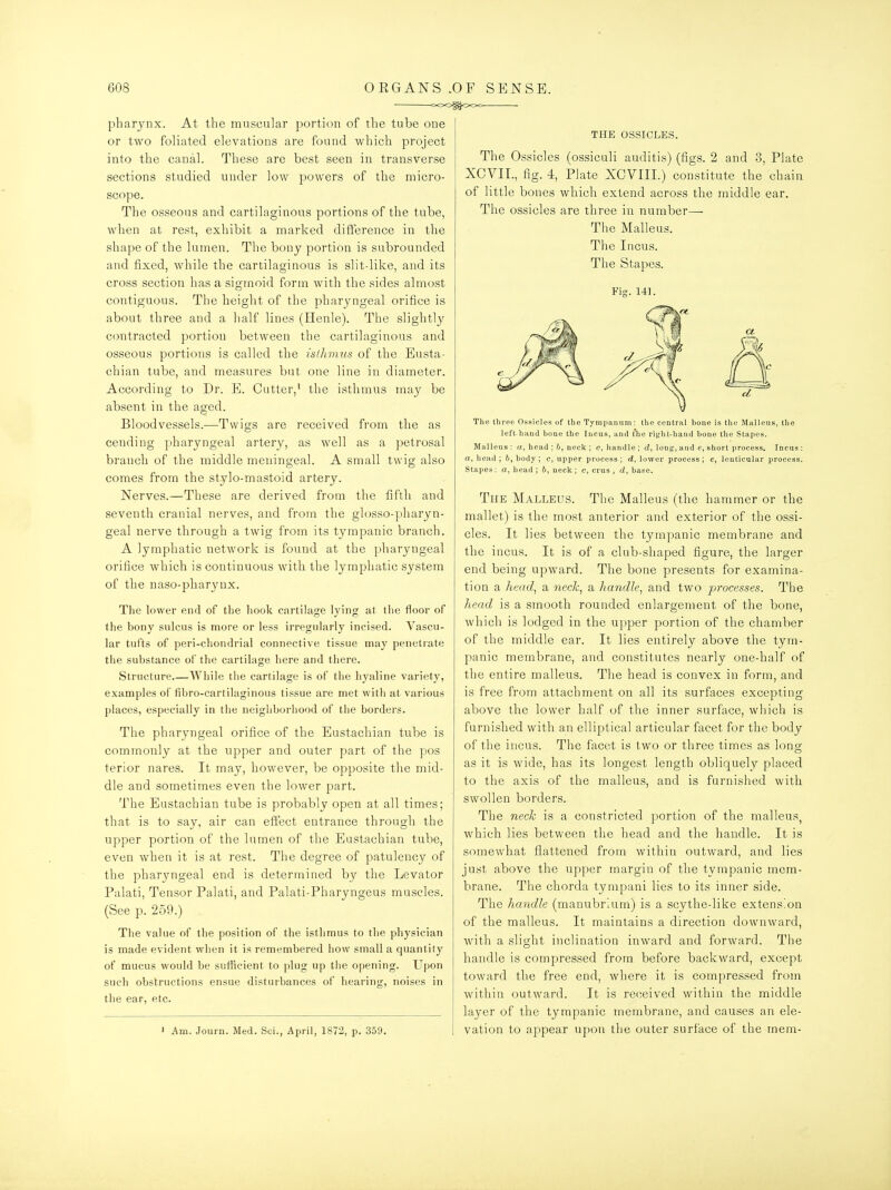 c«cx;^o<c>=- pharynx. At the muscular portion of the tube one or two foliated elevations are found which project into the canal. These are best seen in transverse sections studied under low powers of the micro- scope. The osseous and cartilaginous portions of the tube, when at rest, exhibit a marked difference in the shape of the lumen. The bony portion is subrounded and fixed, while the cartilaginous is slit-like, and its cross section has a sigmoid form with the sides almost contiguous. The height of the pharyngeal orifice is about three and a half lines (Henle). The slightly contracted portion between the cartilaginous and osseous portions is called the islhmus of the Eusta- chian tube, and measures but one line in diameter. According to Dr. E. Cutter,' the isthmus may be absent in the aged. Bloodvessels.—Twigs are received from the as cending pharyngeal artery, as well as a petrosal bi'anch of the middle meningeal. A small twig also comes from the stylo-mastoid artery. Nerves.—These are derived from the fifth and seventh cranial nerves, and from the glosso-pharyn- geal nerve through a twig from its tympanic branch. A lymphatic network is found at the pharyngeal orifice which is continuous with the lymphatic system of the naso-pharyux. The lower end of the hook cartilage lying at tlie floor of the bony sulcus is more or less irregularly incised. Vascu- lar tufts of peri-chondrial connective tissue may penetrate the substance of the cartilage here and there. Structure While the cartilage is of the hyaline variety, examples of fibro-cartilaginous tissue are met with at various places, especially in the neighborhood of the borders. The pharyngeal orifice of the Eustachian tube is commonly at the upper and outer part of the pos terior nares. It may, however, be opposite the mid- dle and sometimes even the lower part. The Eustachian tube is probably open at all times; that is to say, air can effect entrance through the upper portion of the lumen of the Eustachian tube, even when it is at rest. The degree of patulency of the pharyngeal end is determined by the Levator Palati, Tensor Palati, and Palati-Pharyngeus muscles. (See p. 259.) , The value of the position of the isthmus to the physician is made evident when it is remembered how small a quantity of mucus would be sufficient to plug up the opening. Upon such obstructions ensue disturbances of hearing, noises in the ear, etc. ' Am. Journ. Med. Sci., April, 1872, p. 359. THE OSSICLES. The Ossicles (ossiculi auditis) (figs. 2 and 3, Plate XCVII., fig. 4, Plate XCVIII.) constitute the chain of little bones which extend across the middle ear. The ossicles are three in number— The Malleus. The Incus. The Stapes. Fis. 141. The three Ossicles of the Tympanum: the central hone is the Malleus, the left hand bone the Incus, and t^ie right-hand bone the Stapes. Malleus: a, head ; h, neck ; c, handle ; d, long, and c, short process. Incus : a, head ; 6, body ; e, upper process; <i, lower process; e, lenticular process. Stai)es ; a, head ; b, neck ; c, crus , tZ, base. The Malleus. The Malleus (the hammer or the mallet) is the most anterior and exterior of the ossi- cles. It lies between the tympanic membrane and the incus. It is of a club-shaped figure, the larger end being upward. The bone presents for examina- tion a head^ a nech, a handle, and two processes. The head is a smooth rounded enlargement of the bone, which is lodged in the upper portion of the chamber of the middle ear. It lies entirely above the tym- panic membrane, and constitutes nearly one-half of the entire malleus. The head is convex in form, and is free from attachment on all its surfaces excepting above the lower half of the inner surface, which is furnished with an elliptical articular facet for the body of the incus. The facet is two or three times as long- as it is wide, has its longest length obliquely placed to the axis of the malleus, and is furnished with swollen borders. The neck is a constricted portion of the malleus, which lies between the head and the handle. It is somewhat flattened from within outward, and lies just above the upper margin of the tympanic mem- brane. The chorda tympani lies to its inner side. The handle (manubrium) is a scythe-like extension of the malleus. It maintains a direction downward, with a slight inclination inward and forward. The handle is compressed from before backward, except toward the free end, where it is compressed from within outward. It is received within the middle layer of the tympanic membrane, and causes an ele- vation to appear upon the outer surface of the mem-