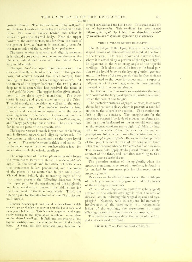 THE CARTILAGE OF THE EPIGLOTTIS. 000^00= 681 posterior fourth. The Sterno-Thyroid, Thyro-Hyoid, and Inferior Constrictor muscles are attached to this ridoe. The smooth surface behind and below it lodges in part the thyroid body. Near the upper border of the outer surface, not far from the base of the greater horn, a foramen is occasionally seen for the transmission of the superior laryngeal artery. The inner surface is smooth and slightly concave. It is related above with the mucous membrane of the pharynx, behind and below with the lateral Crico- Arytenoid muscle. The ujrper border is larger than the inferior. It is concave directly in front of the base of the greater horn, but convex toward the inner margin, thus making for the entire border a sigmoid curve. At the union of the upper borders of the two plates a deep notch is seen which has received the name of the thyroid incisure. The upper border gives attach- ment to the thyro-hyoid membrane. The lower lorder is wavy, and gives attachment to the Crico- Thyroid muscle, at the sides, as well as to the crico- thyroid membrane. The posterior lorder is free, rounded, and is continuous upward with the corre- sponding border of the cornu. It gives attachment in part to the Inferior-Constrictor, Stylo-Pharyngeus, and Pharyngo-Staphylinus muscles. The anterior bor- der joins the plate of the opposite side. The sicjjerior cornu is much larger than the inferior, and is directed upward and slightly backward. Its free extremity affords attachment to the thyro-hyoid ligament. The inferior cornu is thick and stout. It is furnished upon its inner surface with a facet for articulation with the cricoid cartilage. The conjunction of the two plates anteriorly forms the prominence known in the adult male as Adam's apple. In the female and in children of both sexes this prominence is less pronounced, and the angle of the plates is less acute than in the adult male. Viewed from behind, the re-entering angle of the two plates presents the following features: First, the upper part for the attachment of tlie epiglottis, and false vocal cords. Second, the middle part for the attachment of the true vocal cords. Third, the inferior part for the attachment of the Thvro-Aryte- noid muscle. Between Aflam's apple and the skin lies a bursa, which ascends perpendicularly to a point near the hyoid bone, and then passes behind it. This bursa is congenital, and appa- rently belongs to the thyro-hyoid membrane rather than to the thyroid cartilage. It facilitates the gliding of the thyroid cartilage over the anterior border of the hyoid 87 thyroid cartilage and the hyoid bone. It is occasionally the seat of hypertroi)liy. This condition has been named thyro-hyoid cyst by Gibbs,  sub-hyoidean ranula by Nelaton, and  hyoidean liygroma by Mackenzie. THE CARTILAGE OF THE EPIGLOTTIS. The Cartilage of the Epiglottis is a vertical, leaf- shaped lamina of fibro-cartilage situated at the front of the larynx. It is broad above and narrow below, where it is attached by a portion of the thyro epiglot- tic ligament to the re-entering angle of the thyroid cartilage. It is also attached in front at its basal por- tion to the hyoid bone, to the hyo-epiglottic ligament, and to the base of the tongue, so that its free surfaces are restricted to the posterior as[iect and the superior half, nearly, of the cartilage, which is there partially invested with mucous membrane. The first of the free surfaces constitutes the ante- rior border of the laryngeal aperture; while the second lies at the base of the tongue. The posterior surface (laryngeal surface) is concave above, but convex below, where it presents a rounded eminence, the tubercle or cushion. The anterior sur- face is slightly concave. The margins are for the most part obscured by folds of mucous membrane ex- tending either backward to the arytenoid cartilages, as the aryteno-ej)iylottic (ary-epiglottic) folds, or late- rally to the walls of the pharynx, as the fliaryn- (jo-epiylottic folds, which are often continuous with the palato pliarynyeal folds. Between the free portion of the epiglottis and the base of the tongue are three folds of mucous membrane, two lateral2A\^ one median. The median fold (epiglottido glossal frenum) is the stoutest of the three, and contains, according to Cru- veilhier, some elastic tissue. The posterior surface of the epiglottis, when the mucous membrane is removed therefrom, is found to be marked by numerous pits for the reception of mucous glands. Remarks.—The clinical remarks on the cartilages of the larynx are naturally grouped under the heads of the cartilao;es themselves. The cricoid cartilage.—The posterior (i)haryngeal) surface of the cricoid cartilage is often the seat of diseased action, inducing pharyngeal spasm and dys- phagia.^ Necrosis, with subsequent inflammatory involvement of the oesophagus, is a recognizable lesion of the cartilage, the sequestrum at times effecting an exit into the pharynx or oesophagus. The cartilage corresponds to the bodies of the lifth and sixth cervical vertebraa.