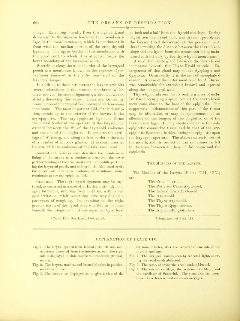 >o-o^c>o« image. Extending laterally from this ligament, and downward to the superior border of the cricoid carti- lage, is the vocal membrane, which is continuous in front with the median portion of the crico-thyroid ligament. The upper border of this membrane, with the vocal cord to which it is attached, forms the lower boundary of the laryngeal j>ouch. Stretching along the upper border of the laryngeal pouch is a membrane, known as the superior ihyro- arytennid ligament or the false vocal cord of the laryngeal image. In addition to these structures the larynx exhibits several elevations of the mucous membrane which have received the name of ligaments, without, however, strictly deserving this name. The§e are formed by prominences of pharyngeal fascia covered with mucous membrane. The most important f(;ld of this descrip- tion, pertaining to the interior of the larynx, is the ary-epiglottic. The ary-epiglottic ligament forms the lateral border of the aperture of the larynx, and extends between the tip of the arytenoid eminence and the side of the epiglottis. It contains the carti- lage of Wrisberg, and along its free border is the seat of a number of mucous glands. It is continuous at its base with the eminence of the false vocal cord. Tourtual and Luschka Lave described the membranous lining of the larynx as a continuous structure—the lower part terminating at the true vocal cord; the middle part lin- ing the laryngeal pouch, and ending in the false vocal cord ; the upper part forming a quadrangular membrane, whicii terminates at the ary-epiglottic fold. Remarks.—The thyro hyo'd ligament may be rup- tured, as occurred in a case of J. II. Stallard.^ A man, aged forty-four, suffering from phthisis, with laryn- geal irritation,  felt something give way during a paroxysm of coughing. On examination, the right greater cornu of the hyoid bone was felt to be loose beneath the integument. It was separated by at least ' Trans. Path. Soc. Loud., 1860, xi. 36. an inch and a half from the thyroid cartilage. During deglutition the hyoid bone was drawn upward, and the larynx tilted downward at the posterior part, thus increasing the distance between the thyroid car- tilage and the hyoid bone, the connection being main- tained in front only by the thyro-hyoid membrane. A small lymphatic gland lies upon the thyro-hyoid membrane beneath the Thyro-Hyoid muscle. En- largement of this gland may induce dysphagia and dyspnoea. Occasionally it is the seat of encephalo d cancer. A case of the latter mentioned by A. Burn.s' was remarkable for extending inward and upward along the pharyngeal wall. Thyro-hyoid abscess has its seat in a mass of cellu- lar tissue occupying a space behind the thyro-hyoid membrane, close to the base of the epiglottis. The suppurative inflammation of this part of the throat may be idiopathic, or may be symptomatic of an affection of the tongue, of the epiglottis, or of the thyroid cartilage. It may create oedema in the sub- epiglottic connective tissue, and in that of the ary- epiglottic ligaments, besides forcing the epiglottis upon the laryngeal aperture. The abscess extends toward the mouth, and its projection can sometimes be felt in the fossa between the base of the tongue and the epiglottis. The Muscles of the Larynx. The Muscles of the Larynx (Plates CIIL, CIV.) are—• The Crico-Thyroid. The Posterior Crico-Arytenoid. The Lateral Crico-Arytenoid. The Arytenoid. The Thyro Arytenoid. The Thyro-Epiglottideus. The Aryteno-Epiglottideus. 1 Surg. Auat. of Neok, 118. EXPLANATION Fig. 1. The larynx opened from behind ; tlie left side with structures dissected from tlie interior aspect; the right side is displayed in sinistro-dextral transverse (frontal) section. Fig. 2. The larynx, trachea, and bronchial tubes in position, seen from in front. Fig. 3. The larynx, so displayed as to give a view of the OF PLATE CIV. intrinsic muscles, after the removal of one side of the thyroid cartilage. Fig. 4. The laryngeal image, seen by reflected light, show- ing the vocal cords abducted. Fig. 5. The same, showing the vocal cords adducted. Fig. 6. The cricoid cartilage, tlie arytenoid cartilage, and tiie cartilages of Santoi'ini. Tiie structures last men- tioned have been named coruicula laryncjis.