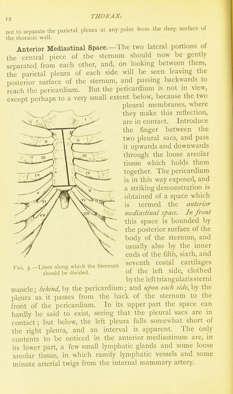 not to separate the parietal pleura at any point from the deep surface of the thoracic wall. Anterior Mediastinal Space.—The two lateral portions of the central piece of the sternum should now be gently separated from each other, and, on looking between them, the parietal pleura of each side will be seen leavmg the posterior surface of the sternum, and passing backwards to reach the pericardium. But the pericardium is not in view, except perhaps to a very small extent below, because the two pleural membranes, where they make this reflection, are in contact. Introduce the finger between the two pleural sacs, and pass it upwards and downwards through the loose areolar tissue which holds them together. The pericardium is in this way exposed, and a striking demonstration is obtained of a space which is termed the a7iterior mediastinal space. In front this space is bounded by the posterior surface of the body of the sternum, and usually also by the inner ends of the fifth, sixth, and seventh costal cartilages of the left side, clothed by the left triangularis sterni muscle; behind, by the pericardium; and upon each side, by the pleura as it passes from the back of the sternum to the front of the pericardium. In its upper part the space can hardly be said to exist, seeing that the pleural sacs are in contact; but below, the left pleura falls somewhat short of the right pleura, and an interval is apparent. The only contents to be noticed in the anterior mediastinum are, in its lower part, a few small lymphatic glands and some loose areolar tissue, in which ramify lymphatic vessels and some minute arterial twigs from the internal mammary artery. Fig. 3.- -Lines along which the Sternum should be divided.