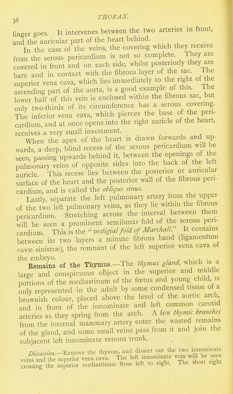 finger goes. It intervenes between the two arteries in front, and the auricular part of the heart behind. In the case of the veins, the covermg which they receive from the serous pericardium is not so complete. They are covered in front and on each side, whilst posteriorly they are bare and in contact with the fibrous layer of the sac The superior vena cava, which lies immediately to the right of the ascending part of the aorta, is a good example of this The lower half of this vein is enclosed within the fibrous sac, but only two-thirds of its circumference has a serous covermg. The inferior vena cava, which pierces the base of the peri- cardium, and at once opens into the right auricle of the heart, receives a very small investment. When the apex of the heart is drawn forwards and up- wards, a deep, Wind recess of the serous pericardmm will be seen, passing upwards behind it, between the openings of the pulmonary veins of opposite sides into the back of the left auricle This recess hes between the posterior or auricular surface of the heart and the posterior wall of the fibrous peri- cardium, and is called the oblique sinus. Lastly, separate the left pulmonary artery from the upper of the two left pulmonary veins, as they lie withm the fibrous pericardium. Stretching across the interval between them will be seen a prominent semilunar fold of the serous peri- cardium This is the  vestigial fold of Marshall It contains between its two layers a minute fibrous band (ligamentum cav^e sinistrse), the remnant of the left superior vena cava of the embryo. , , v. • u • ^ Remains of the Thymus.—The thymus gland, ^vhich is a large and conspicuous object in the superior and middle portions of the mediastinum of the foetus and young child, is only represented in the adult by some condensed tissue of a brownish colour, placed above the level of the aortic arch and in front of the innominate and left common carotid arteries as they spring from the arch. A few thymic branches from the internal mammary artery enter the wasted remains of the gland, and some small veins pass from it and join the subjacent left innominate venous trunk. Disseclion -Remove the thymus, and dissect out the two mnominate veins and the supe or vena cava. The left innominate vein wi 1 be seen IrS iJg the superior mediastinum from left to nght. The short r>ght