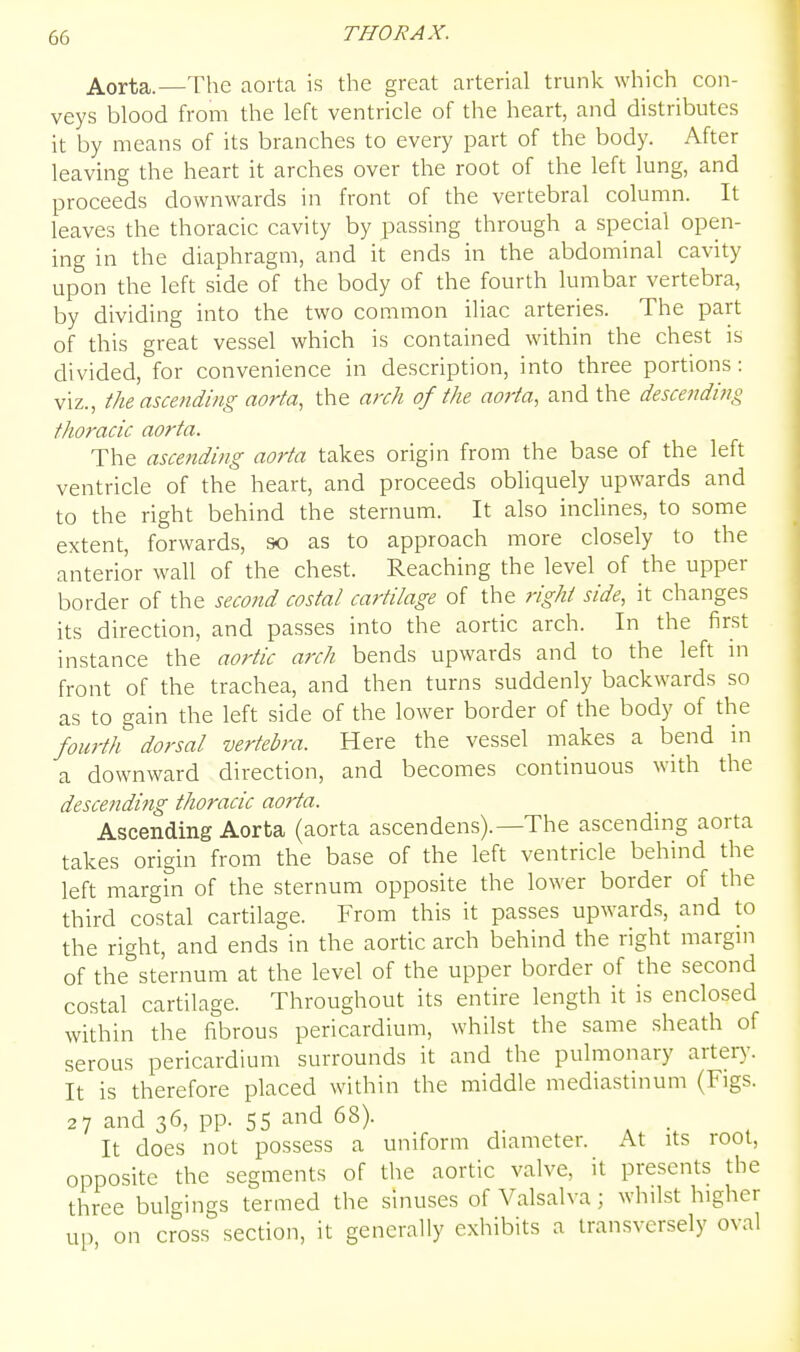 Aorta.—The aorta is the great arterial trunk which con- veys blood from the left ventricle of the heart, and distributes it by means of its branches to every part of the body. After leaving the heart it arches over the root of the left lung, and proceeds downwards in front of the vertebral column. It leaves the thoracic cavity by passing through a special open- ing in the diaphragm, and it ends in the abdominal cavity upon the left side of the body of the fourth lumbar vertebra, by dividing into the two common iliac arteries. The part of this great vessel which is contained within the chest is divided, for convenience in description, into three portions: viz., the ascending aorta, the anh of the aorta, and the descending thoracic aorta. The ascending aorta takes origin from the base of the left ventricle of the heart, and proceeds obliquely upwards and to the right behind the sternum. It also inclines, to some extent, forwards, so as to approach more closely to the anterior wall of the chest. Reaching the level of the upper border of the second costal cartilage of the right side, it changes its direction, and passes into the aortic arch. In the first instance the aortic arch bends upwards and to the left m front of the trachea, and then turns suddenly backwards so as to gain the left side of the lower border of the body of the fourth dorsal vertebra. Here the vessel makes a bend in a downward direction, and becomes continuous with the descending thoracic aorta. Ascending Aorta (aorta ascendens).—The ascending aorta takes origin from the base of the left ventricle behind the left margin of the sternum opposite the lower border of the third costal cartilage. From this it passes upwards, and to the right, and ends in the aortic arch behind the right margm of the sternum at the level of the upper border of the second costal cartilage. Throughout its entire length it is enclosed within the fibrous pericardium, whilst the same sheath of serous pericardium surrounds it and the pulmonary artery. It is therefore placed within the middle mediastinum (Figs. 27 and 36, pp. 55 and 68). _ It does not possess a uniform diameter. At its root, opposite the segments of the aortic valve, it presents the three bulgings termed the sinuses of Valsalva; whilst higher up on cross section, it generally exhibits a transversely oval