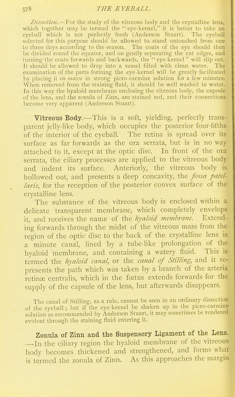 Dissection.—For the study of the vitreous Ijody and the crystaUine lens, which together may be termed the  eye-kernel, it is better to take an eyeball which is not perfectly fresh (Anderson Stuart). The eyeball selected for this purpose should be allowed to stand untouched from one to three days according to the season. The coats of the eye should then be divided round the equator, and on gently separating the cut edges, and turning the coats forwards and backwards, the  eye-kernel will slip out. It should l^e allowed to drop into a vessel filled with clean water. The examination of the parts forming the eye-kernel will be greatly facilitated by placing it e>i masse in strong picro-carmine solution for a few minutes. When removed from the staining fluid, it should be well washed in water. In this way the hyaloid membrane enclosing the vitreous body, the capsule of the lens, and the zonula of Zinn, are stained red, and their connections become very apparent (Anderson Stuart). Vitreous Body.—This is a soft, yielding, perfectly trans- parent jelly-like body, which occupies the posterior four-fifths of the interior of the eyeball. The retina is spread over its surface as far forwards as the ora serrata, but is in no way attached to it, except at the optic disc. In front of the ora serrata, the ciliary processes are applied to the vitreous body and indent its surface. Anteriorly, the vitreous body is hollowed out, and presents a deep concavity, the fossa patel- laris, for the reception of the posterior convex surface of the crystalline lens. The substance of the vitreous body is enclosed Anthin a delicate transparent membrane, which completely envelops it, and receives the name of the hyaloid membrane. Extend- ing forwards through the midst of the vitreous mass from the region of the optic disc to the back of the crystalline lens is a minute canal, Hned by a tube-Hke prolongation of the hyaloid membrane, and containing a watery fluid. This is terrned the hyaloid canal, or the canal of Stilling, and it re- presents the path which was taken by a branch of the arteria retinae centralis, which in the foetus extends forwards for the supply of the capsule of the lens, but afterwards disappears. The canal of Stilling, as a rule, cannot be seen in an ordinary dissection of the eyeball; but if the eye-kernel be shaken up in the picro-carmine solution as recommended by Anderson Stuart, it may sometimes be rendered evident through the staining fluid entering it. Zonula of Zinn and the Suspensory Ligament of the Lens. In the ciliary region the hyaloid membrane of the vitreous body becomes thickened and strengthened, and forms what is termed the zonula of Zinn. As this approaches the margin