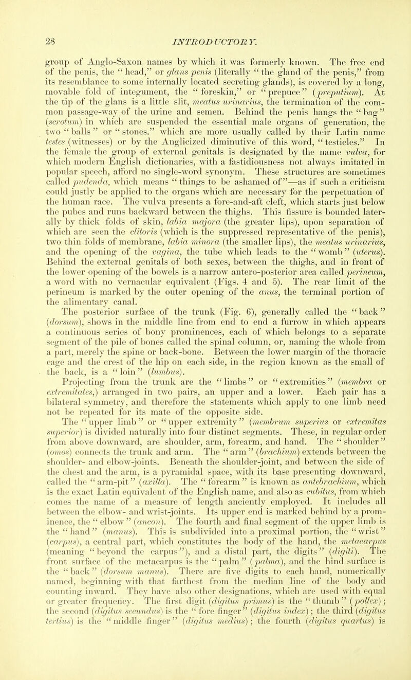 group of Anglo-Saxon names by which it was formerly known. The free end of the penis, the head, or glans penis (literally the gland of the penis, from its resemblance to some internally located secreting glands), is covered by a long, movable fold of integument, the foreskin, or prepuce {prepufiim). At the tip of the glans is a little slit, meatus urinarius, the termination of the com- mon passage-way of the urine and semen. Behind the penis hangs the bag (scrotum) in which are suspended the essential male organs of generation, the two balls or stones. which are more usually called by their Latin name testes (witnesses) or by the Anglicized diminutive of this word, testicles. In the female the group of external genitals is designated by the name vulva, for whieli modern English dictionaries, with a fastidiousness not always imitated in popular speech, attbrd no single-word synonym. These structures are sometimes called pudenda, which means things to be ashamed of—as if such a criticism could justly be applied to the organs which are necessary for the perpetuation of the human race. The vulva presents a fore-and-aft cleft, which starts just below the pubes and runs backward between the thighs. This fissure is bounded later- ally by thick folds of skin, labia majora (the greater lips), upon separation of which are seen the clitoris (which is the suppressed representative of the penis), two thin folds of membrane, labia minora (the smaller lips), the meatus urinarius, and the opening of the vagina, the tube which leads to the womb (uterus). Behind the external genitals of both sexes, between the thighs, and in front of the lower opening of the bowels is a narrow antero-posterior area called jmineum, a word with no vernacular equivalent (Figs. 4 and 5). The rear limit of the perineum is marked by the outer opening of the anus, the terminal portion of the alimentary canal. The posterior surface of the trunk (Fig. 6), generally called the back (dorsum), shows in the middle line from end to end a furrow in which appears a continuous series of bony prominences, each of which belongs to a separate segment of the pile of bones called the spinal column, or, naming the whole from a part, merely the spine or back-bone. Between the lower margin of the thoracic cage and the crest of the hip on each side, in the region known as the small of the back, is a loin (Imnbus). Projecting from the trunk are the limbs or extremities (membra or extremitates,) arranged in two pairs, an upper and a lower. Each pair has a bilateral symmetry, and therefore the statements which apply to one limb need not be repeated for its mate of the opposite side. The upper limb or upper extremity (memhrum superius or extremitas supeyior) is divided naturally into four distinct segments. These, in regular order from above downward, are shoulder, arm, forearm, and hand. The shoulder (omos) connects the trunk and arm. The arm (brachium) extends between the shoulder- and elbow-joints. Beneath the shoulder-joint, and between the side of the chest and the arm, is a pyramidal space, with its base presenting downward, called the arm-pit (axilla). The forearm is known as a/ntebrachium, which is the exact Latin equivalent of the English name, and also as cubitus, from which comes the name of a measure of length anciently employed. It includes all between the elbow- and wrist-joints. Its upper end is marked behind by a prom- inence, the elbow (ancon). The fourth and final segment of the upper limb is the hand (marats). This is subdivided into a proximal portion, the wrist (carpms), a central part, which constitutes the body of the hand, the metacarpus (meaning beyond the cai'pus), and a distal part, the digits (digiti). The front surface of the metacarpus is the palm (pcdma), and the hind surface is the back (dorsum manus). There are five digits to each hand, numerically named, beginning with that farthest from the median line of the body and counting inward. They have also other designations, which are used with equal or greater frequency. The first digit (digitus primus) is the thumb (pol.lex); the second (digitus secundus) is the fore finger (digitus index); the third (digitus tertius) is the middle finger (digitus medius); the fourth (digitus quartus) is