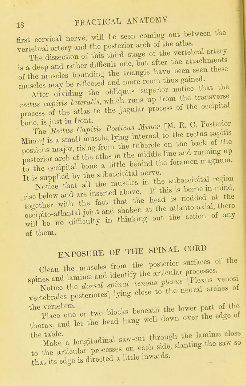 first cervical nerve, mil be seen coming out beUveen the vprtebral artery and the posterior arch of the atlas. verteDiai cULtjij .-u^/fuirrq ^Ko-e of the vertebral artery :f the Itls bounding tte triangle have been seen tbese „i:^^f:1:alLUe,l.i^—-^^^^^^^ posticus major. JX^'^CiftL m™ of them. EXPOSURE OF THE SPINAL CORD from the posterior surfaces of the | Glean the muscles .^^^.„^7. ^ processes. vertebrales posteriores] lymg close to the the vertebrre. K.,.on) V. the lower part of the ti.ranr.rtrbriln1':Sr;^no.erLe^ the table. fhrnu«^h the lamina close Make a longitudmal saw-cut ^^.^ the saw so to the articular processes on each side, slantu , hat its edge is directed a httle awards.
