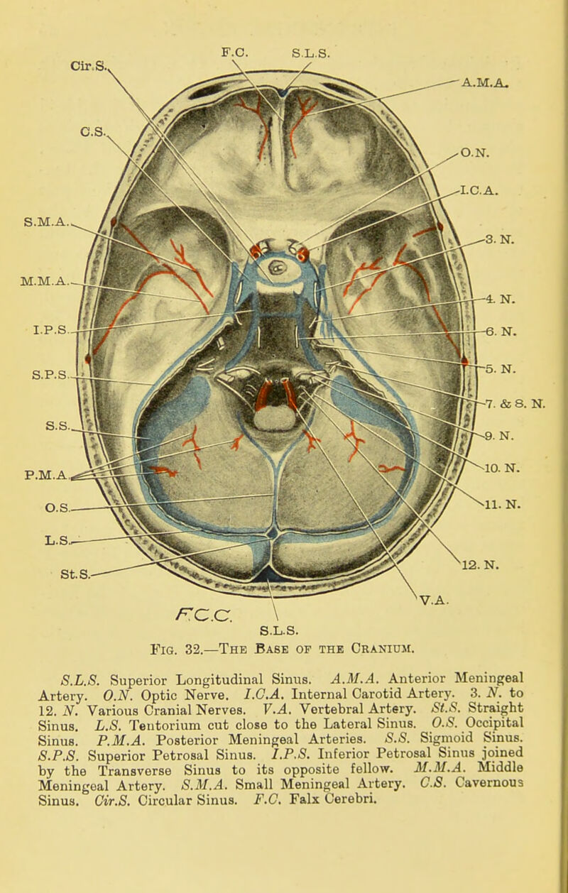 F.C. S.L.S. S.L.S. Fig. 32.—The Base of the Cranium. S.L.S. Superior Longitudinal Sinus. A.M.A. Anterior Meningeal Artery. O.N. Optic Nerve. I.C.A. Internal Carotid Artery. 3. N. to 12. iV. Various Cranial Nerves. V.A. Vertebral Artery. St.S. Straight Sinus, L.S. Tentorium cut close to the Lateral Sinus. O.S. Occipital Sinus. P.M.A. Posterior Meningeal Arteries. S.S. Sigmoid Sinus. S.P.S. Superior Petrosal Sinus. I.P.S. Inferior Petrosal Sinus joined by the Transverse Sinus to its opposite fellow. M.M.A. Middle Meningeal Artery. S.M.A. Small Meningeal Artery. O.S. Cavernous Sinus. Cir.S. Circular Sinus. P.O. Falx Cerebri.