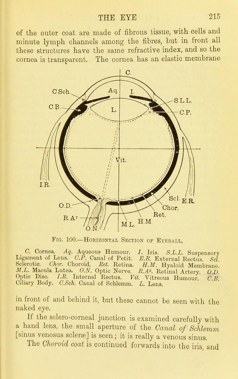 of the outer coat are made of fibrous tissue, with cells and minute lymph channels among the fibres, but in front all these structures have the same refractive index, and so the cornea is transparent. The cornea has an elastic membrane C. Fig. 100.—Horizontal Section of Eyeball. C. Cornea. Aq. Aqueous Humour. /. Iris. S.L.L. Suspensory Ligament of Lens. CP. Canal of Petit. E.R. External Rectus. Scl. Sclerotic. Chor. Choroid. Ret. Eetina. H.M. Hyaloid Membrane. M.L. Macula Lutea. O.N. Optic Nerve. B.AK Eetinal Artery. O.D. Optic Disc. I.R. Internal Rectus. Vit. Vitreous Humour. C.B Ciliary Body. O.Sch. Canal of Schlemm. L. Lens. in front of and behind it, but these cannot be seen with the naked eye. If the sclero-corneal junction is examined carefully with a hand lens, the small aperture of the Canal of Schlemm [sinus venosus scleroe] is seen; it is really a venous sinus. The Choroid coat is continued forwards into the iris, and