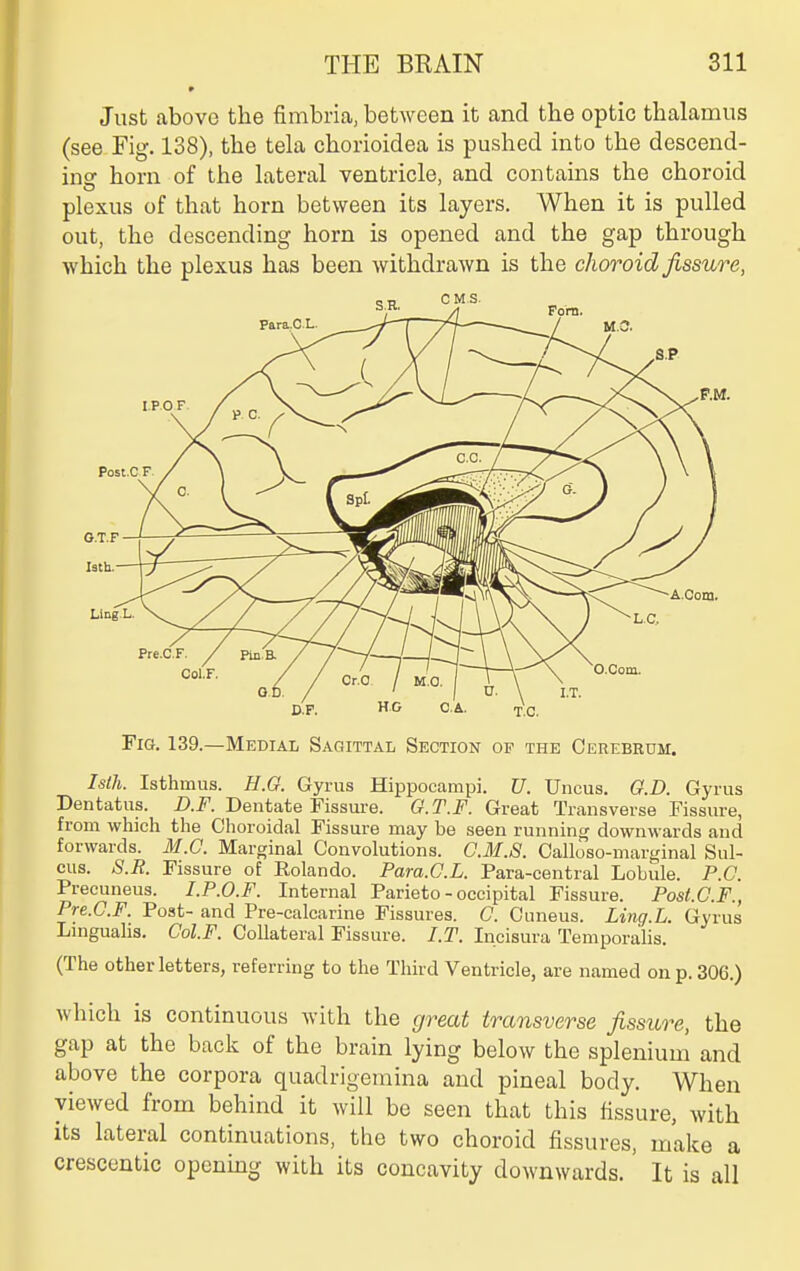 Just above the fimbria, between it and the optic thalamus (see Fig. 138), the tela chorioidea is pushed into the descend- ing horn of the lateral ventricle, and contains the choroid plexus of that horn between its layers. When it is pulled out, the descending horn is opened and the gap through which the plexus has been withdrawn is the choroid fissure, Fig. 139.—Medial Sagittal Section of the Cerebrum. Isth. Isthmus. H.G. Gyrus Hippocampi. U. Uncus. O.D. Gyrus Dentatus. Ai?'. Dentate Fissure. G.T.F. Great Transverse Fissure, from which the Choroidal Fissure may be seen running downwards and forwards. M.C. Marginal Convolutions. G.M.S. Calloso-marginal Sul- cus. S.R. Fissure of Rolando. Para.G.L. Para-central Lobule. P.O. Precuneus. I.P.O.F. Internal Parieto - occipital Fissure. Post.C.F., Pre.G.F. Post- and Pre-calcarine Fissures. G. Cuneus. Ling.L. Gyrus Linguahs. Gol.F. Collateral Fissure. I.T. Incisura Temporalis. (The other letters, referring to the Third Ventricle, are named on p. 306.) which is continuous Avith the great transverse fissure, the gap at the back of the brain lying below the splenium and above the corpora quadrigemina and pineal body. When viewed from behind it will be seen that this fissure, with its lateral continuations, the two choroid fissures, make a crescentic opcnmg with its concavity downwards.' It is all