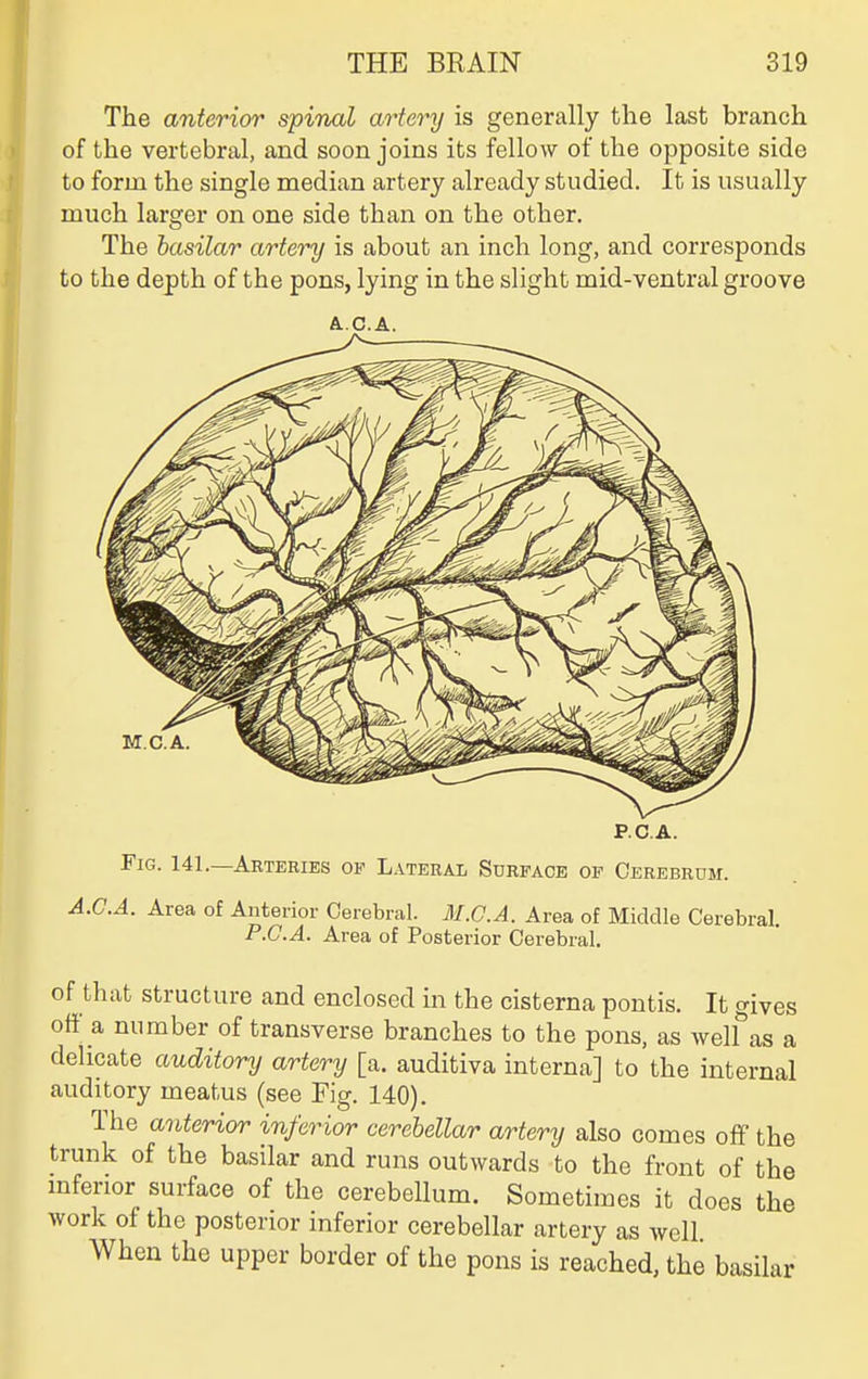 The anterior spinal artery is generally the last branch of the vertebral, and soon joins its fellow of the opposite side to form the single median artery already studied. It is usually much larger on one side than on the other. The basilar artery is about an inch long, and corresponds to the depth of the pons, lying in the slight mid-ventral groove A..C.A. PC. A. Fig. 141.—Arteries of Lateral Surface of Cerebrum. '.A. Area of Anterior Cerebral. M.C.A. Area of Middle Cerebral. P.C.A. Area of Posterior Cerebral. of that structure and enclosed in the cisterna pontis. It gives off a number of transverse branches to the pons, as welf as a delicate auditory artery [a. auditiva interna] to the internal auditory meatus (see Fig. 140). The anterior inferior cerebellar artery also comes off the trunk of the basilar and runs outwards to the front of the mferior surface of the cerebellum. Sometimes it does the work of the posterior inferior cerebellar artery as well When the upper border of the pons is reached, the basilar