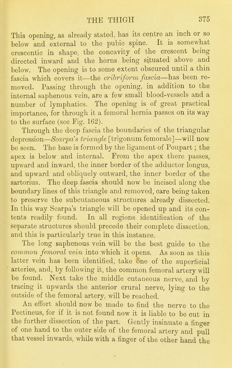 This opening, as ah-eady stated, has its centre an inch or so below and external to the pubic spine. It is somewhat crescentic in shape, the concavity of the crescent being directed inward and the horns being situated above and below. The opening is to some extent obscured until a thin fascia which covers it—the cribriform fascia—has been re- moved. Passing through the opening, in addition to the internal saphenous vein, are a few small blood-vessels and a number of lymphatics. The opening is of great practical importance, for through it a femoral hernia passes on its way to the surface (see Fig. 162). Through the deep fascia the boundaries of the triangular depression—Scarpa's triangle [trigonum femorale]—will now be seen. The base is formed by the ligament of Poupart; the apex is below and internal. From the apex there passes, upward and inward, the inner border of the adductor longus, and upward and obliquely outward, the inner border of the sartorius. The deep fascia should now be incised along the boundary lines of this triangle and removed, care being taken to preserve the subcutaneous structures already dissected. In this way Scarpa's triangle will be opened up and its con- tents readily found. In all regions identification of the separate structures should precede their complete dissection, and this is particularly true in this instance. The long saphenous vein will be the best guide to the common femoral vein into which it opens. As soon as this latter vein has been identified, take one of the superficial arteries, and, by following it, the common femoral artery will be found. Next take the middle cutaneous nerve, and by tracing it upwards the anterior crural nerve, lying to the outside of the femoral artery, will be reached. An effort should now be made to find the nerve to the Pectineus, for if it is not found now it is liable to be cut in the further dissection of the part. Gently insinuate a finger of one hand to the outer side of the femoral artery and pull that vessel inwards, while with a finger of the other hand the