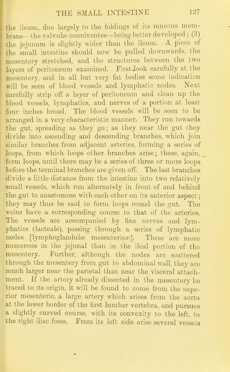 the ileum,, due largely to the foldiugs of its mucous mem- brane—the valvuhe conniventes—being better developed; (3) I the jejunum is shghtly wider than the ileum. A piece of I the small intestine should now be pulled downwards, the mesentery stretched, and the structures between the two ; layers of peritoneum examined. First Jook carefully at the I mesentery, and in all but very fat bodies some indication ' will be seen of blood vessels and lymphatic nodes. Next I carefully strip olf a layer of peritoneum and clean up the blood vessels, lymphatics, and nerves of a portion at least four inches broad. The blood vessels will be seen to be I arranged in a very characteristic manner. They run towards the gut, spreading as they go; as they near the gut they divide into ascending and descending branches, which join similar branches from adjacent arteries, forming a series of loops, from which loops other branches arise; these, again, form loops, until there may be a series of three or more loops I before the terminal branches are given off. The last branches divide a little distance from the intestine into two relatively small vessels, which run alternately in front of and behind the gut to anastomose with each other on its anterior aspect; they may thus be said to form loops round the gut. The veins have a corresponding course to that of the arteries. The vessels are accompanied by fine nerves and lym- phatics (lacteals), passing through a series of lymphatic nodes [lymphoglanduke mesentericte]. These are more numerous in the jejunal than in the ileal portion of the mesentery. Further, although the nodes are scattered through the mesentery from gut to abdominal wall, they are much larger near the parietal than near the visceral attach- ment. If the artery already dissected in the mesentery be traced to its origin, it will be found to come from the supe- rior mesenteric, a large artery which arises from the aorta at the lower border of the first lumbar vertebra, and pursues a slightly curved course, with its convexity to the left, to the right iliac fossa. From its left side arise several vessels