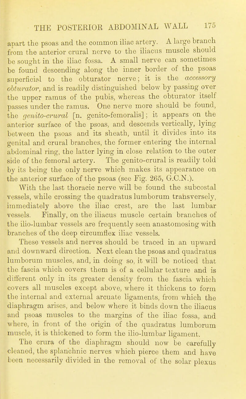 apart the psoas and the common iliac artery. A large branch from the anterior crural nerve to the iliacus muscle should be sought in the iliac fossa. A small nerve can sometimes be found descending along the inner border of the psoas superficio.1 to the obturator nerve; it is the accessory obturator, and is readily distinguished below by passing over the upper ramus of the pubis, whereas the obturator itself passes under the ramus. One nerve more should be found, the genito-crural [n. genito-femoralis]; it appears on the anterior surface of the psoas, and descends vertically, lying between the psoas and its sheath, until it divides into its genital and crural branches, the former entering the internal abdominal ring, the latter lying in close relation to the outer side of the femoral artery. The genito-crural is readily told by its being the only nerve which makes its appearance on the anterior surface of the psoas (see Fig. 265, G.C.N.). With the last thoracic nerve will be found the subcostal vessels, while crossing the quadratus lumborum transversely, immediately above the iliac crest, are the last lumbar vessels. Finally, on the iliacus muscle certain branches of the ilio-lumbar vessels are frequently seen anastomosing with branches of the deep circumflex iliac vessels. These vessels and nerves should be traced in an upward and downward direction. Nest clean the psoas and quadratus lumborum muscles, and, in doing so, it will be noticed that the fascia which covers them is of a cellular texture and is different only in its greater density from the fascia which covers all muscles except above, where it thickens to form the internal and external arcuate ligaments, from which the diaphragm arises, and below where it binds down the iliacus and psoas muscles to the margins of the iliac fossa, and where, in front of the origin of the quadratus lumborum muscle, it is thickened to form the ilio-lumbar ligament. The crura ol the diaphragm should now be carefully cleaned, the splanchnic nerves which pierce them and have been necessarily divided in the removal of the solar plexus