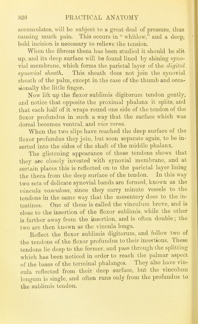 accumulates, will be subject to a great deal of pressure, thus causing much pain. This occurs in  whitlow, and a deep, bold incision is necessary to relieve the tension. When the fibrous theca has been studied it should be slit up, and its deep surface will be found lined by shining syno- vial membrane, which forms the parietal layer of the digital synovial sheath. This sheath does not join the synovial sheath of the palm, except in the case of the thumb and occa- sionally the little finger. Now hft up the flexor sublimis digitorum tendon gently, and notice that opposite the proximal phalanx it splits, and that each half of it wraps round one side of the tendon of the tiexor profundus in such a way that the surface which was dorsal becomes ventral, and vice versa. When the two slips have reached the deep surface of the fiexor profundus they join, but soon separate again, to be in- serted into the sides of the shaft of the middle phalanx. The glistening appearance of these tendons shows that they are closely invested with synovial membrane, and at certain places this is reflected on to the parietal layer lining the theca from the deep surface of the tendon. In this way two sets of delicate synovial bands are formed, known as the vincida vasculosa, since they carry minute vessels to the tendons in the same way that the mesentery does to the in- testines. One of these is called the vinculum breve, and is close to the insertion of the flexor sublimis, while the other is farther away from the insertion, and is often double; the two are then known as the vincula longa. Eeflect the flexor sublimis digitorum, and follow two of the tendons of the flexor profundus to their insei-tions. These tendons lie deep to the former, and pass through the splitting which has been noticed in order to reach the palmar aspect of the- bases of the terminal phalanges. They also have vin- cula reflected from their deep surface, but the vinculum longum is single, and often runs only from the profundus to the sublimis tendon.