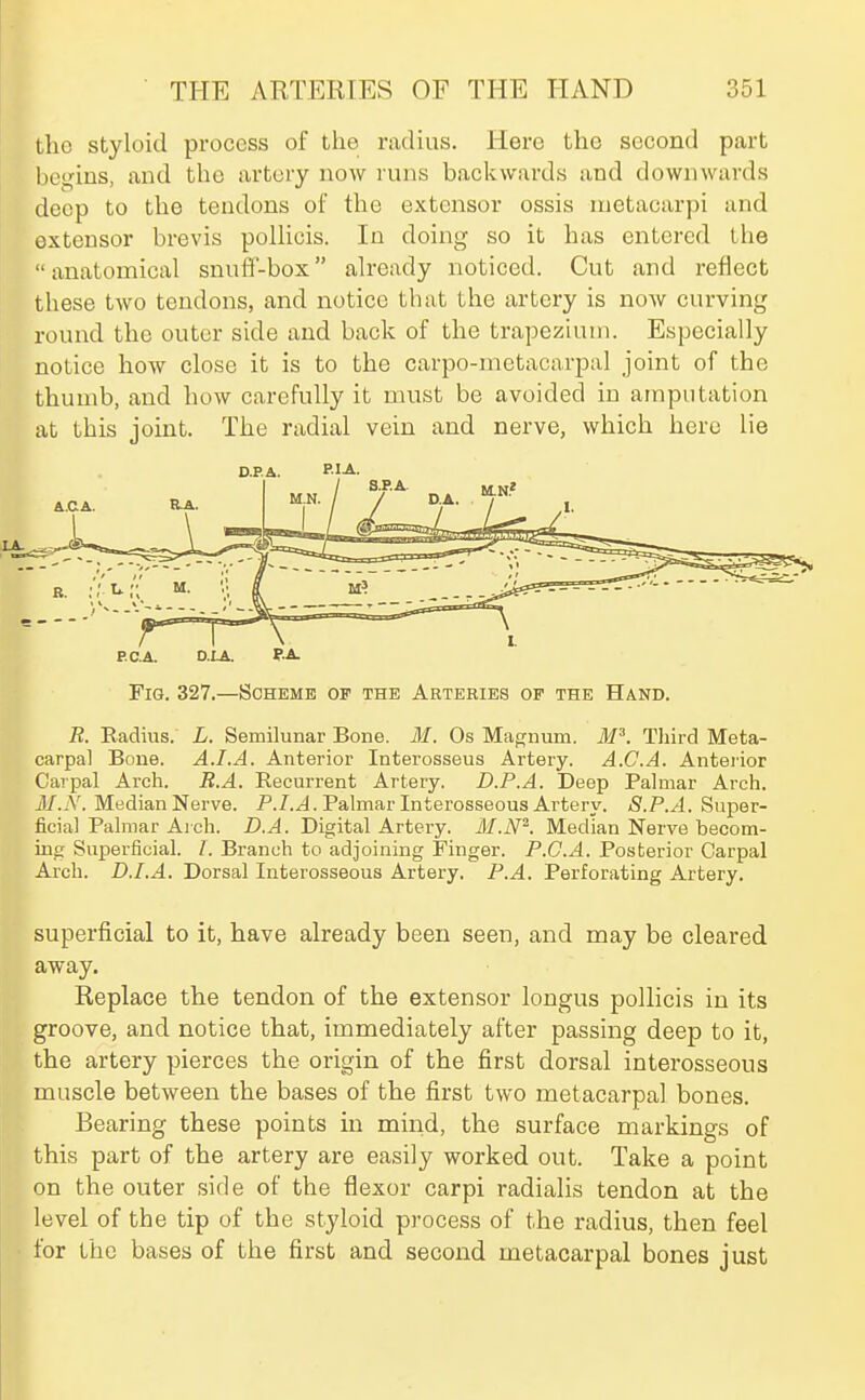 the styloid process of the radius. Here the second part l)es^ins, and the artery now runs backwards and downwards deep to the tendons of the extensor ossis nietacarpi and extensor brevis polHcis. In doing so it has entered the anatomical snuff-box ah-eady noticed. Cut and reflect these two tendons, and notice that the artery is now curving round the outer side and back of the trapezium. Especially notice how close it is to the carpo-nietacarpal joint of the thumb, and how carefully it must be avoided in amputation at this joint. The radial vein and nerve, which here lie D.P.A. PI A. Fig. 327.—Scheme of the Arteries of the Hand. R. Eadius. L. Semilunar Bone. 31. Os Maf^num. M^. Third Meta- carpal Bone. A.I.A. Anterior Interosseus Artery. A.CA. Anteiior Carpal Arch. R.A. Recurrent Artery. D.P.A. Deep Palmar Arch. il/.jV. Median Nerve. P./..d. Palmar Interosseous Artery. S.P.A. Super- ficial Palmar Arch. D.A. Digital Artery. 1\I.N^. Median Nerve becom- ing Superficial. I. Branch to adjoining Finger. P.G.A. Posterior Carpal Arch. D.I.A. Dorsal Interosseous Artery. P.A. Perforating Artery. superficial to it, have already been seen, and may be cleared away. Replace the tendon of the extensor longus pollicis in its groove, and notice that, immediately after passing deep to it, the artery pierces the origin of the first dorsal interosseous muscle between the bases of the first two metacarpal bones. Bearing these points in mind, the surface markings of this part of the artery are easily worked out. Take a point on the outer side of the flexor carpi radialis tendon at the level of the tip of the styloid process of the radius, then feel for the bases of the first and second metacarpal bones just