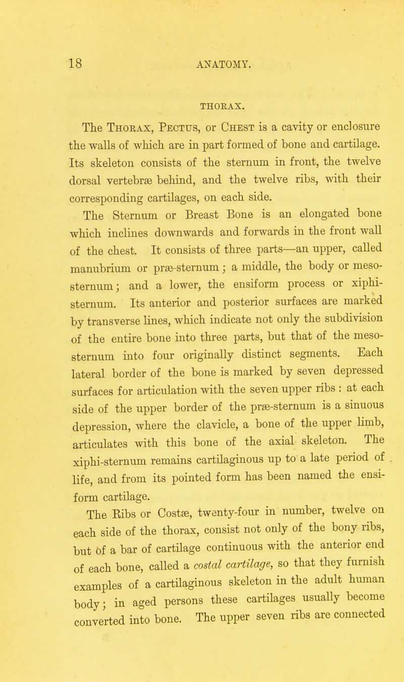 THORAX. The Thorax, Pectus, or Chest is a cavity or enclosure the walls of which are in part formed of bone and cartilage. Its skeleton consists of the sternum in front, the twelve dorsal vertebrae behind, and the twelve ribs, with their corresponding cartUages, on each side. The Sternum or Breast Bone is an elongated bone which inclines downwards and forwards in the front wall of the chest. It consists of three parts—an upper, called manubrium or prse-sternum; a middle, the body or meso- sternum; and a lower, the ensiform process or xiphi- sternum. Its anterior and posterior surfaces are marked by transverse lines, which indicate not only the subdivision of the entire bone into three parts, but that of the meso- sternum iato four originally distinct segments. Each lateral border of the bone is marked by seven depressed surfaces for articulation with the seven upper ribs : at each side of the upper border of the pras-sternum is a sinuous depression, where the clavicle, a bone of the upper limb, articulates with this bone of the axial skeleton. The xiphi-sternum remains cartilaginous up to a late period of life, and from its pointed form has been named the ensi- form cartilage. The Ribs or Costse, twenty-four in number, twelve on each side of the thorax, consist not only of the bony ribs, but bt a bar of cartUage continuous with the anterior end of each bone, caUed a costal cartilage, so that they furnish examples of a cartilaginous skeleton in the adult human body; in aged persons these cartilages usually become converted into bone. The upper seven ribs are connected