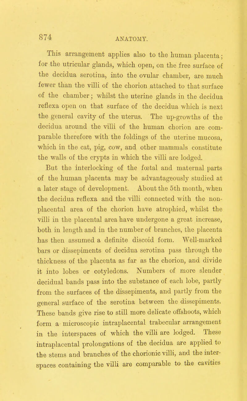 This arrangement applies also to the human placenta; for the utricular glands, which open, on the free surface of the decidua serotina, into the ovular chamber, are much fewer than the villi of the chorion attached to that surface of the chamber; whilst the uterine glands in the decidua reflexa open on that surface of the decidua which is next the general cavity of the uterus. The up-growths of the decidua around the villi of the human chorion are com- parable therefore with the foldings of the uterine mucosa, which in the cat, pig, cow, and other mammals constitute the walls of the crypts in which the villi are lodged. But the interlocking of the foetal and maternal parts of the human placenta may be advantageously studied at a later stage of development. About the 5th months when the decidua reflexa and the villi connected with the non- placental area of the chorion have atrophied, whilst the villi in the placental area have undergone a great increase, both in length and in the number of branches, the placenta has then assumed a definite discoid form. Well-marked bars or dissepiments of decidua serotina pass through the thickness of the placenta as far as the chorion, and divide it into lobes or cotyledons. Numbers of more slender decidual bands pass into the substance of each lobe, partly from the surfaces of the dissepiments, and partly from the general surface of the serotina between the dissepiments. These bands give rise to still more delicate ofiishoots, which form a microscopic intraplacental trabecular arrangement in the interspaces of which the villi are lodged. These intraplacental prolongations of the decidua are applied to the stems and branches of the chorionic villi, and the inter- spaces containing the villi are comparable to the cavities