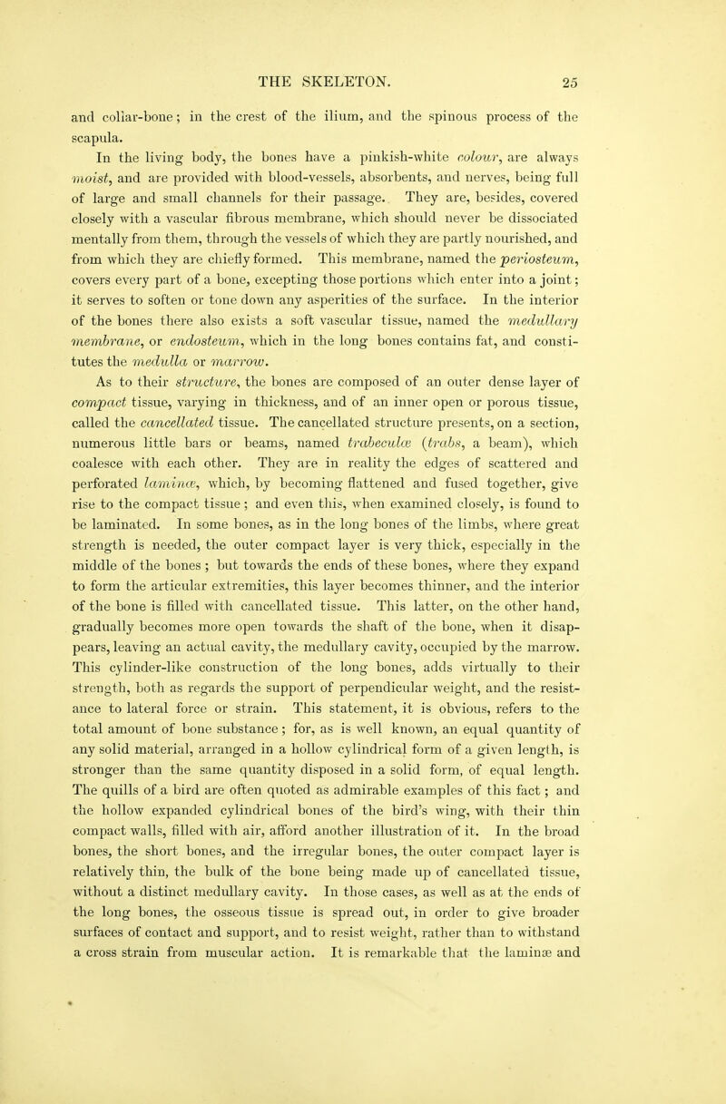 and collar-bone; in the crest of the ilium, and the spinous process of the scapula. In the living body, the bones have a pinkish-white colour, are always moist, and are provided with blood-vessels, absorbents, and nerves, being fidl of large and small channels for their passage. They are, besides, covered closely with a vascular fibrous membrane, which should never be dissociated mentally from them, through the vessels of which they are partly nourished, and from which they are chiefly formed. This membrane, named the periosteum, covers every part of a bone, excepting those portions which enter into a joint; it serves to soften or tone down any asperities of the surface. In the interior of the bones there also exists a soft vascular tissue, named the medullary membrane, or endosteum, which in the long bones contains fat, and consti- tutes the medulla or marrow. As to their structure, the bones are composed of an outer dense layer of compact tissue, varying in thickness, and of an inner open or porous tissue, called the cancellated tissue. The cancellated structure presents, on a section, numerous little bars or beams, named trabeculce {trahs, a beam), which coalesce with each other. They are in reality the edges of scattered and perforated lamince, which, by becoming flattened and fused together, give rise to the compact tissue; and even this, when examined closely, is found to be laminated. In some bones, as in the long bones of the limbs, where great strength is needed, the outer compact layer is very thick, especially in the middle of the bones ; but towards the ends of these bones, where they expand to form the articular extremities, this layer becomes thinner, and the interior of the bone is filled with cancellated tissue. This latter, on the other hand, gradually becomes more open towards the shaft of the bone, when it disap- pears, leaving an actual cavity, the medullary cavity, occupied by the marrow. This cylinder-like construction of the long bones, adds virtually to their strength, both as regards the support of perpendicular weight, and the resist- ance to lateral force or strain. This statement, it is obvious, refers to the total amount of bone substance; for, as is well known, an equal quantity of any solid material, arranged in a hollov/ cylindrical form of a given length, is stronger than the same quantity disposed in a solid form, of equal length. The quills of a bird are often quoted as admirable examples of this fact; and the hollow expanded cylindrical bones of the bird's wing, with their thin compact walls, filled with air, afford another illustration of it. In the broad bones, the short bones, and the irregular bones, the outer compact layer is relatively thin, the bulk of the bone being made up of cancellated tissue, without a distinct medullary cavity. In those cases, as well as at the ends of the long bones, the osseous tissue is spread out, in order to give broader surfaces of contact and support, and to resist weight, rather than to withstand a cross strain from muscular action. It is remarkable tliat the laminae and