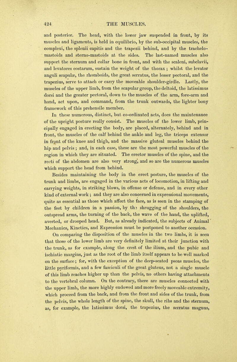 and posterior. The head, with the lower jaw suspended in front, by its muscles and ligaments, is held in equilibrio, by the sub-occipital muscles, the complexi, the splenii capitis and the trapezii behind, and by the trachelo- mastoids and sterno-mastoids at the sides. The last-named muscles also support the sternum and collar bone in front, and with the scaleni, subclavii, and levatores costarum, sustain the weight of the thorax ; whilst the levator anguli scapulae, the rhomboids, the great serratus, the lesser pectoral, and the trapezius, serve to attach or carry the moveable shoulder-girdle. Lastly, the muscles of the upper limb, from the scapular group, the deltoid, the latissimus dorsi and the greater pectoral, down to the muscles of the arm, fore-arm and band, act upon, and command, from the trunk outwards, the lighter bony framework of this prehensile member. In these numerous, distinct, but co-ordinated acts, does the maintenance of the upright posture really consist. The muscles of the lower limb, prin- cipally engaged in erecting the body, are placed, alternately, behind and in front, the muscles of the calf behind the ankle and leg, the triceps extensor in front of the knee and thigh, and the massive gluteal muscles behind the hip and pelvis ; and, in each case, these are the most powerful muscles of the region in which they are situated. The erector muscles of the spine, and the recti of the abdomen are also very strong', and so are the numerous muscles which support the head from behind. Besides maintaining the body in the erect posture, the muscles of the trunk and limbs, are engaged in the various acts of locomotion, in lifting and carrying weights, in striking blows, in offense or defense, and in every other kind of external work ; and they are also concerned in expressional movements, quite as essential as those which affect the face, as is seen in the stamping of the feet by children in a passion, by thj shrugging of the shoulders, the outspread arms, the turning of the back, the wave of the hand, the uplifted, averted, or drooped head. But, as already indicated, the subjects of Animal Mechanics, Kinetics, and Expression must be postponed to another occasion. On comparing the disposition of the muscles in the two limbs, it is seen that those of the lower limb are very definitely limited at their junction with the trunk, as for example, along the crest of the ilium, and the pubic and ischiatic margins, just as the root of the limb itself appears to be well marked on the surface; for, with the exception of the deep-seated psoas muscles, the little pyriformis, and a few fasciculi of the great gluteus, not a single muscle of this limb reaches higher up than the pelvis, no others having attachments to the vertebral column. On the contrary, there are muscles connected with the upper limb, the more highly endowed and more freely moveable extremity, wbich proceed from the back, and from the front and sides of the trunk, from the pelvis, the whole length of the spine, the skull, the ribs and the sternum, as, for example, the latissimus dorsi, the trapezius, the serratus magnus,
