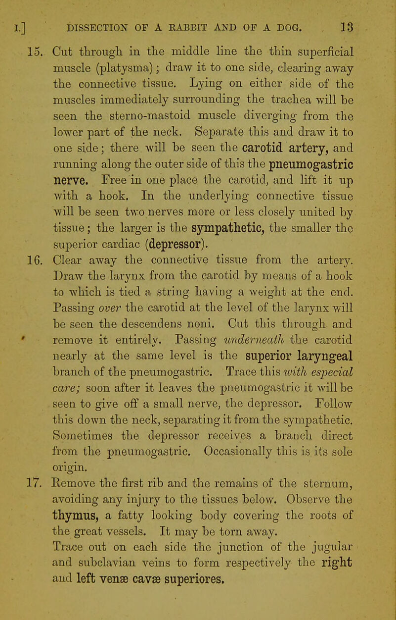 15. Cut througli in tlie middle line the tliin superficial muscle (platysma); draw it to one side, clearing away the connective tissue. Lying on either side of the muscles immediately surrounding the trachea will be seen the sterno-mastoid muscle diverging from the lower part of the neck. Separate this and draw it to one side; there will be seen the carotid artery, and running along the outer side of this the pneumogastric nerve. Free in one place the carotid, and lift it up with a hook. In the underlying connective tissue will be seen two nerves more or less closely united by tissue; the larger is the sympathetic, the smaller the superior cardiac (depressor). 16. Clear away the connective tissue from the artery. Draw the larynx from the carotid by means of a hook to which is tied a string having a weight at the end. Passing over the carotid at the level of the larynx will be seen the descendens noni. Cut this through and remove it entirely. Passing underneath the carotid nearly at the same level is the superior laryngeal branch of the pneumogastric. Trace this with especial care; soon after it leaves the pneumogastric it will be seen to give off a small nerve, the depressor. Follow this down the neck, separating it from the sympathetic. Sometimes the depressor receives a branch direct from the pneumogastric. Occasionally this is its sole origin. 17. Remove the first rib and the remains of the sternum, avoiding any injury to the tissues below. Observe the thymus, a fatty looking body covering the roots of the great vessels. It may be torn away. Trace out on each side the junction of the jugular and subclavian veins to form respectively the right and left vense cavse superiores.