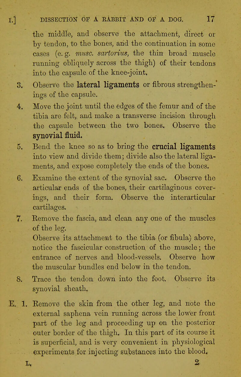 the middle, and observe the attachment, direct or by tendon, to the bones, and the continuation in some cases (e. g. muse, sartorius, the thin broad muscle running obliquely across the thigh) of their tendons into the capsule of the knee-joint. 3. Observe the lateral ligaments or fibrous strengthen- ings of the capsule. 4. Move the joint until the edges of the femur and of the tibia are felt, and make a transverse incision through the capsule between the two bones. Observe the synovial fluid. 5. Bend the knee so as to bring the crucial ligaments into view and divide them; divide also the lateral liga- ments, and expose completely the ends of the bones. 6. Examine the extent of the synovial sac. Observe the articular ends of the bones, their cartilaginous cover- ings, and their form. Observe the interarticular cartilages. 7. Remove the fascia, and clean any one of the muscles of the leg. Observe its attachment to the tibia (or fibula) above, notice the fascicular construction of the muscle; the entrance of nerves and blood-vessels. Observe how the muscular bundles end below in the tendon. 8. Trace the tendon down into the foot. Observe its synovial sheath. E. 1. Eemove the skin from the other leg, and note the external saphena vein running across the lower front part of the leg and proceeding up on the posterior outer border of the thigh. In this part of its course it is superficial, and is very convenient in physiological experiments for injecting substances into the blood, L, %