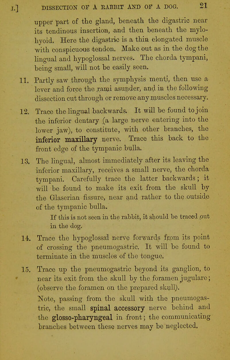 upper part of the gland, beneath the digastric near its tendinous insertion, and then beneath the mylo- hyoid. Here the digastric is a thin elongated muscle with conspicuous tendon. Make out as in the dog the lingual and hypoglossal nerves. The chorda tympani, being small, will not be easily seen. 11. Partly saw throi;igh the symphysis menti, then use a lever and force the f ami asunder, and m the following dissection cut through or remove any muscles necessary. 12. Trace the lingu-al backwards. It will be found to join the inferior dentary (a large nerve entering into the lower jaw), to constitute, with other branches, the inferior maxillary nerve. Trace this back to the front edge of the tympanic bulla. 1.3. The lingual, almost immediately after its leaving the inferior maxillary, receives a small nerve, the chorda tympani. Carefully trace the latter backwards; it will be found to make its exit from the skull by the Glaseriaa fissure, near and rather to the outside of the tympanic bulla. If this is not seen in the rabbit, it shoulcl be traced put in the dog. 14. Trace the hypoglossal nerve forwards fj;om its point of crossing the pneumogastric. It will be found to terminate in the muscles of the tongue. 15. Trace up the pneumogastric beyond its ganglion, to near its exit from the skull by the foramen jugulare; (observe the foramen on the prepared skull). Note, passing from the skull with the pneumogas- tric, the small spinal accessory nerve behind and the glosso-pharyngeal in front; the communicating branches between these nerves may be neglected.