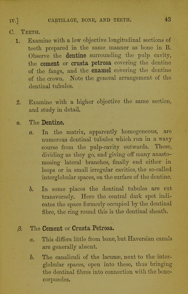 C. Teeth. 1. Examine with a low objective longitudinal sections of teeth prepared in the same manner as bone in B. Observe the dentine surrounding the pulp cavity, the cement or crusta petrosa covering the dentine of the fangs, and the enamel covering the dentine of the crown. Note the general arrangement of the dentinal tubules. 2. Examine with a higher objective the same section, and study in detail. a. The Dentine. a. In the matrix, apparently homogeneous, are numerous dentinal tubules which run in a wavy course from the pulp-cavity outwards. These, dividing as they go, and giving off many anasto- mosing lateral branches, finally end either in loops or in small irregular cavities, the so-called interglobular spaces, on the surface of the dentine. 1). In some places the dentinal tubules are cut transversely. Here the central dark spot indi- cates the space formerly occupied by the dentinal fibre, the ring round this is the dentinal sheath. /3. The Cement or Crusta Petrosa. a. This differs little from bone, but Haversian canals are generally absent. h. The canaliculi of the lacunae, next to the inter- globular spaces, open into these, thus bringing the dentinal fibres into connection with the bone- corpuscles.