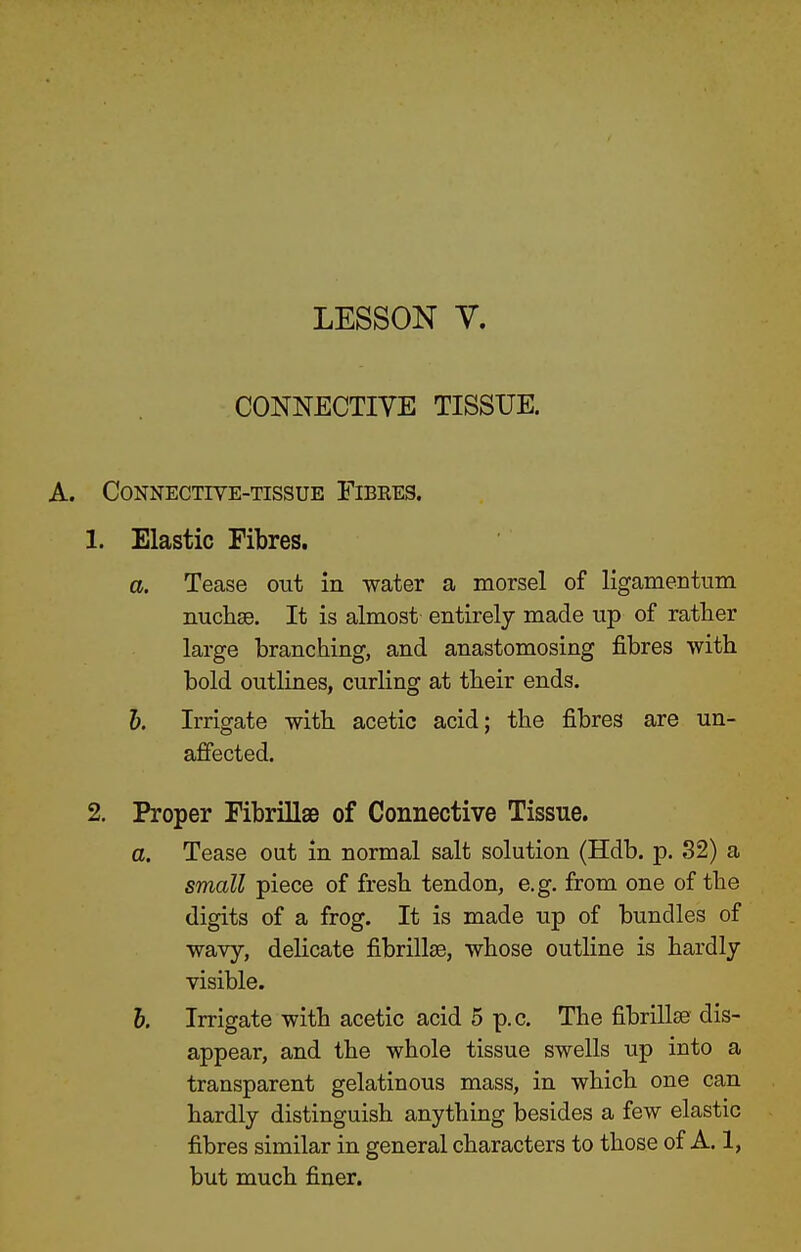 LESSON V. CONNECTIVE TISSUE. Connective-tissue Fibres. 1. Elastic Fibres. a. Tease out in water a morsel of ligamentum nuchse. It is almost entirely made up of rather large branching, and anastomosing fibres with bold outlines, curling at their ends. h. Irrigate with acetic acid; the fibres are un- affected. 2. Proper Fibrillse of Connective Tissue. a. Tease out in normal salt solution (Hdb. p. S2) a small piece of fresh tendon, e.g. from one of the digits of a frog. It is made up of bundles of wavy, delicate fibrillse, whose outKne is hardly visible. 6. Irrigate with acetic acid 5 p.c. The fibrillse dis- appear, and the whole tissue swells up into a transparent gelatinous mass, in which one can hardly distinguish anything besides a few elastic fibres similar in general characters to those of A, 1, but much finer.