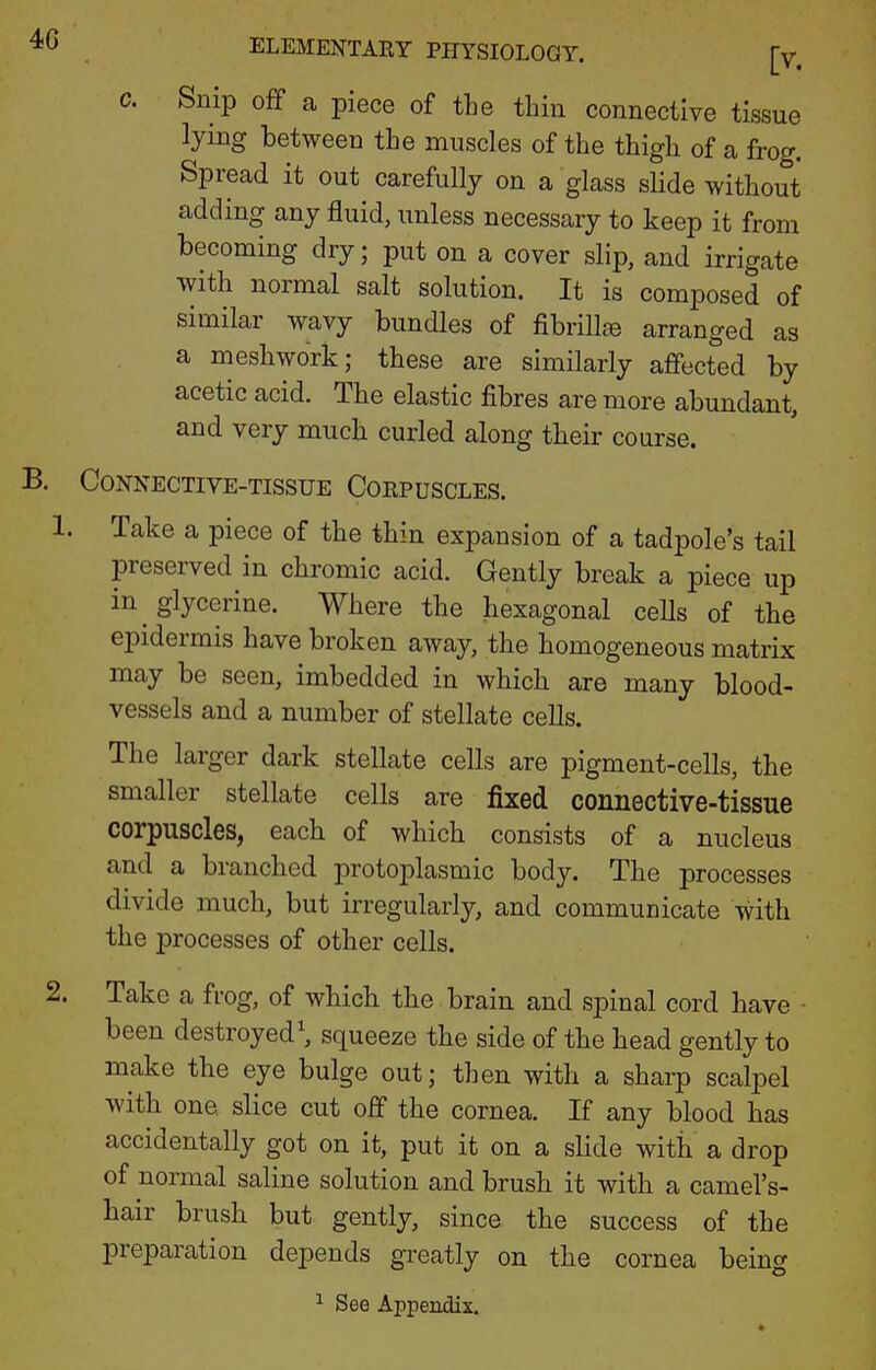 c. Snip ofF a piece of the thin connective tissue lying between the muscles of the thigh of a frog. Spread it out carefully on a glass slide without adding any fluid, unless necessary to keep it from becoming dry; put on a cover slip, and irrigate with normal salt solution. It is composed of similar wavy bundles of fibrillse arranged as a meshwork; these are similarly affected by acetic acid. The elastic fibres are more abundant, and very much curled along their course. B. Connective-tissue Coepuscles. 1. Take a piece of the thin expansion of a tadpole's tail preserved in chromic acid. Gently break a piece up in glycerine. Where the hexagonal cells of the epidermis have broken away, the homogeneous matrix may be seen, imbedded in which are many blood- vessels and a number of stellate cells. The larger dark stellate cells are pigment-cells, the smaller stellate cells are fixed connective-tissue corpuscles, each of which consists of a nucleus and a branched protoplasmic body. The processes divide much, but irregularly, and communicate with the processes of other cells. 2. Take a frog, of which the brain and spinal cord have ■ been destroyed ^ squeeze the side of the head gently to make the eye bulge out; then with a sharp scalpel with one slice cut off the cornea. If any blood has accidentally got on it, put it on a slide with a drop of normal saline solution and brush it with a camel's- hair brush but gently, since the success of the preparation depends greatly on the cornea being ^ See Appendix.