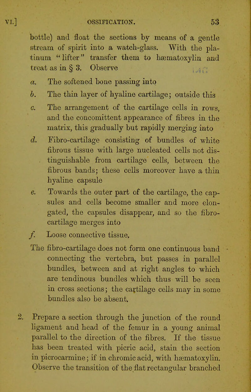 bottle) and float the sections by means of a gentle stream of spirit into a watch-glass. With the pla- tinum lifter transfer them to haematoxyHn and treat as in § 3. Observe a. The softened bone passing into h. The thin layer of hyaline cartilage; outside this c. The arrangement of the cartilage cells in rows, and the concomittent appearance of fibres in the matrix, this gradually but rapidly merging into d. Fibro-cartilage consisting of bundles of white fibrous tissue with large nucleated cells not dis- . tinguishable from cartilage cells, between the fibrous bands; these cells moreover have a thin hyaline capsule e. Towards the outer part of the cartilage, the cap- sules and cells become smaller and more elon- gated, the capsules disappear, and so the fibro- cartilage merges into /. Loose connective tissue. The fibro-cartilage does not form one continuous band connecting the vertebra, but passes in parallel bundles, between and at right angles to which are tendinous bundles which thus will be seen in cross sections; the cavtilage cells may in some bundles also be absent. Prepare a section through the junction of the round ligament and head of the femur in a young animal parallel to the direction of the fibres. If the tissue has been treated with picric acid, stain the section in picrocarmine; if in chromic acid, with hsematoxylin. Observe the transition of the.flat rectangular branched