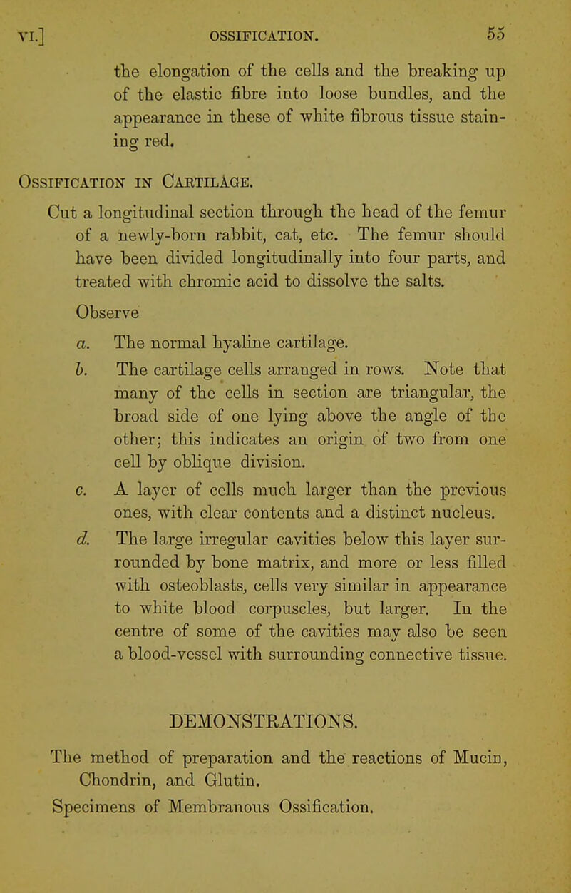 the elongation of the cells and the breaking up of the elastic fibre into loose bundles, and the appearance in these of white fibrous tissue stain- ing red. Ossification in Cartilage. Cut a longitudinal section through the head of the femur of a newly-born rabbit, cat, etc. The femur should have been divided longitudinally into four parts, and treated with chromic acid to dissolve the salts. Observe a. The normal hyaline cartilage. 1). The cartilage cells arranged in rows. Note that many of the cells in section are triangular, the broad side of one lying above the angle of the other; this indicates an origin of two from one cell by oblique division. c. A layer of cells much larger than the previous ones, with clear contents and a distinct nucleus, d. The large irregular cavities below this layer sur- rounded by bone matrix, and more or less filled with osteoblasts, cells very similar in appearance to white blood corpuscles, but larger. In the centre of some of the cavities may also be seen a blood-vessel with surrounding connective tissue. DEMONSTRATIONS. The method of preparation and the reactions of Mucin, Chondrin, and Glutin. Specimens of Membranous Ossification.