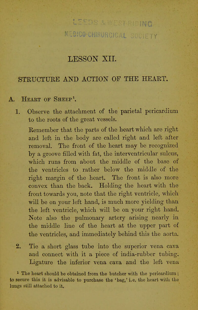 rv:01CO-CHIRUi> ^ir LESSON XII. STRUCTURE AND ACTION OF THE HEART. A. Heart of Sheep'. 1. Observe the attachment of the parietal pericardium to the roots of the great vessels. Remember that the parts of the heart which are right and left in the body are called right and left after removal. The front of the heart may be recognized by a groove filled with fat, the interventricular sulcus, which runs from about the middle of the base of the ventricles to rather below the middle of the right margin of the heart. The front is also more convex than the back. Holding the heart with the front towards you, note that the right ventricle, which will be on your left hand, is much more yielding than the left ventricle, which will be on your right hand. Note also the pulmonary artery arising nearly in the middle line of the heart at the upper part of the ventricles, and immediately behind this the aorta. 2. Tie a short glass tube into the superior vena cava and connect with it a piece of india-rubber tubing. Ligature the inferior vena cava and the left vena 1 The heart should be obtained from the butcher with the pericardium; to secure this it is advisable to purchase the 'bag,' i.e. the heart ■with the lungs stiU attached to it.