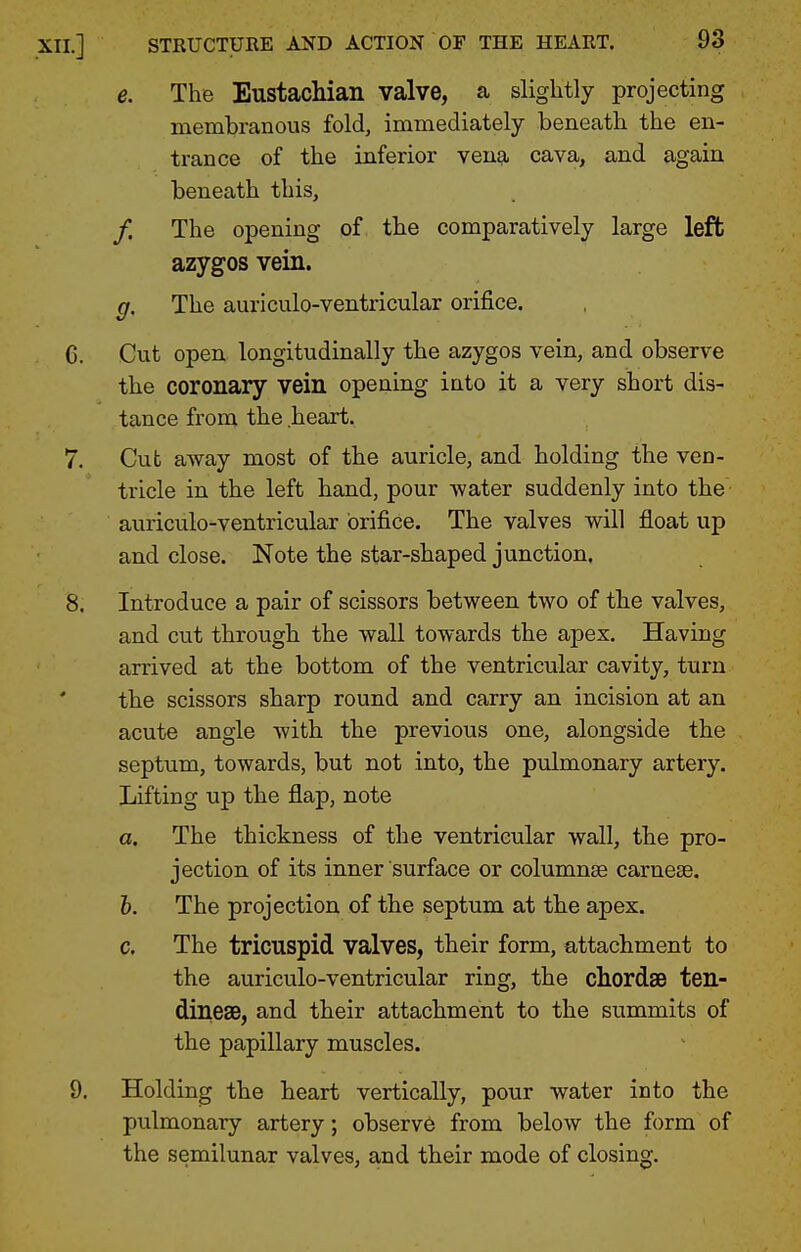 e. The Eustachian valve, a slightly projecting membranous fold, immediately beneath the en- trance of the inferior vena cava, and again beneath this, /. The opening of the comparatively large left azygos vein. g. The auriculo-ventricular orifice. G. Cut open longitudinally the azygos vein, and observe the coronary vein opening into it a very short dis- tance from the heart. 7. Cut away most of the auricle, and holding the ven- tricle in the left hand, pour water suddenly into the auriculo-ventricular orifice. The valves will float up and close. Note the star-shaped junction, 8. Introduce a pair of scissors between two of the valves, and cut through the wall towards the apex. Having arrived at the bottom of the ventricular cavity, turn the scissors sharp round and carry an incision at an acute angle with the previous one, alongside the septum, towards, but not into, the pulmonary artery. Lifting up the flap, note a. The thickness of the ventricular wall, the pro- jection of its inner surface or columnae carnese. b. The projection of the septum at the apex. c. The tricuspid valves, their form, attachment to the auriculo-ventricular ring, the chordae ten- dineae, and their attachment to the summits of the papillary muscles. 9. Holding the heart vertically, pour water into the pulmonary artery; observ6 from below the form of the semilunar valves, and their mode of closing.