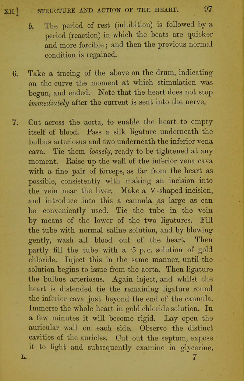 h. The period of rest (inhibition) is followed by a period (reaction) in which the beats are quicker and more forcible; and then the previous normal condition is regained. Take a tracing of the above on the drum, indicating on the curve the moment at which stimulation was begun, and ended. Note that the heart does not stop immediately after the current is sent into the nerve. Cut across the aorta, to enable the heart to empty itself of blood. Pass a silk ligature underneath the bulbus arteriosus and two underneath the inferior vena cava. Tie them loosely, ready to be tightened at any moment. Raise up the wall of the inferior vena cava with a fine pair of forceps, as far from the heart as possible, consistently with making an incision into the vein near the liver. Make a V -shaped incision, and introduce into this a cannula as large as can be conveniently used. Tie the tube in the vein by means of the lower of the two ligatures. Fill the tube with normal saline solution, and by blowing gently, wash all blood out of the heart. Then partly fill the tube with a '5 p. c. solution of gold chloride. Inject this in the same manner, until the solution begins to issue from the aorta. Then ligature the bulbus arteriosus. Again inject, and whilst the heart is distended tie the remaining ligature roimd the inferior cava just beyond the end of the cannula. Immerse the whole heart in gold chloride solution. In a few minutes it will become rigid. Lay open the auricular wall on each side. Observe the distinct cavities of the auricles. Cut out the septum, expose it to light and subsequently examine in glycerine. L. 7