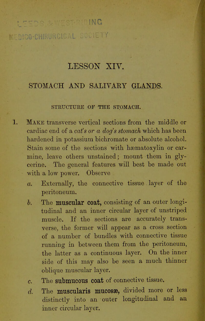 !NC 1 Y LESSON XIV. STOMACH AND SALIVARY GLANDS. STRUCTURE OF THE STOMACH. 1. Make transverse vertical sections from the middle or cardiac end of a cat's or a dog's stomach which has been hardened in potassium bichromate or absolute alcohol. Stain some of the sections with haematoxylin or car- mine, leave others unstained; mount them in gly- cerine. The general features will best be made out with a low power. Observe a. Externally, the connective tissue layer of the peritoneum. h. The muscular coat, consisting of an outer longi- tudinal and an inner circular layer of unstriped muscle. If the sections are accurately trans- verse, the former will appear as a cross section of a number of bundles with connective tissue running in between them from the peritoneum, the latter as a continuous layer. On the inner side of this may also be seen a much thinner oblique muscular layer. c. The submucous coat of connective tissue. d. The muscularis mucosae, divided more or less distinctly into an outer longitudinal and an inner circular layer.